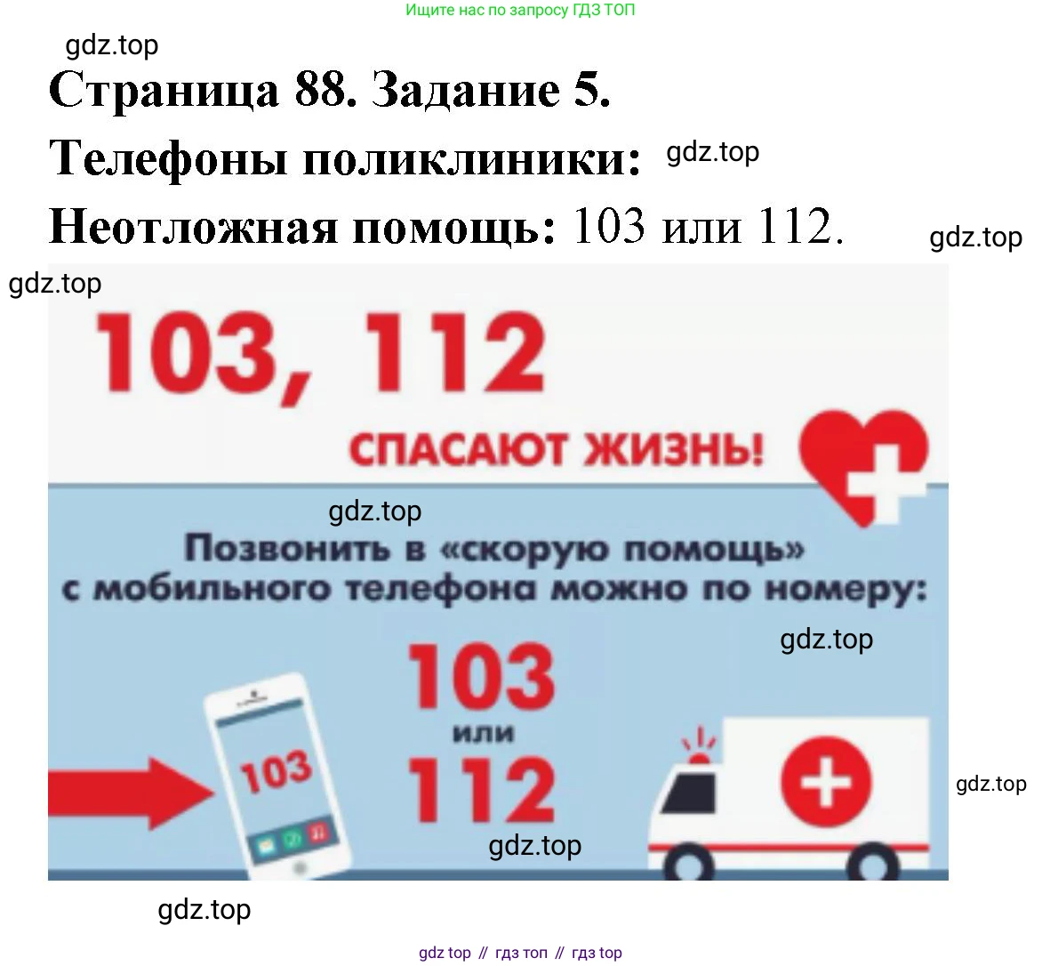 ГДЗ Биология, 9 класс рабочая тетрадь, автор: Сухова Тамара Сергеевна, издательство Просвещение, Москва, 2021, Часть 2, страница 89, номер 5, Решение