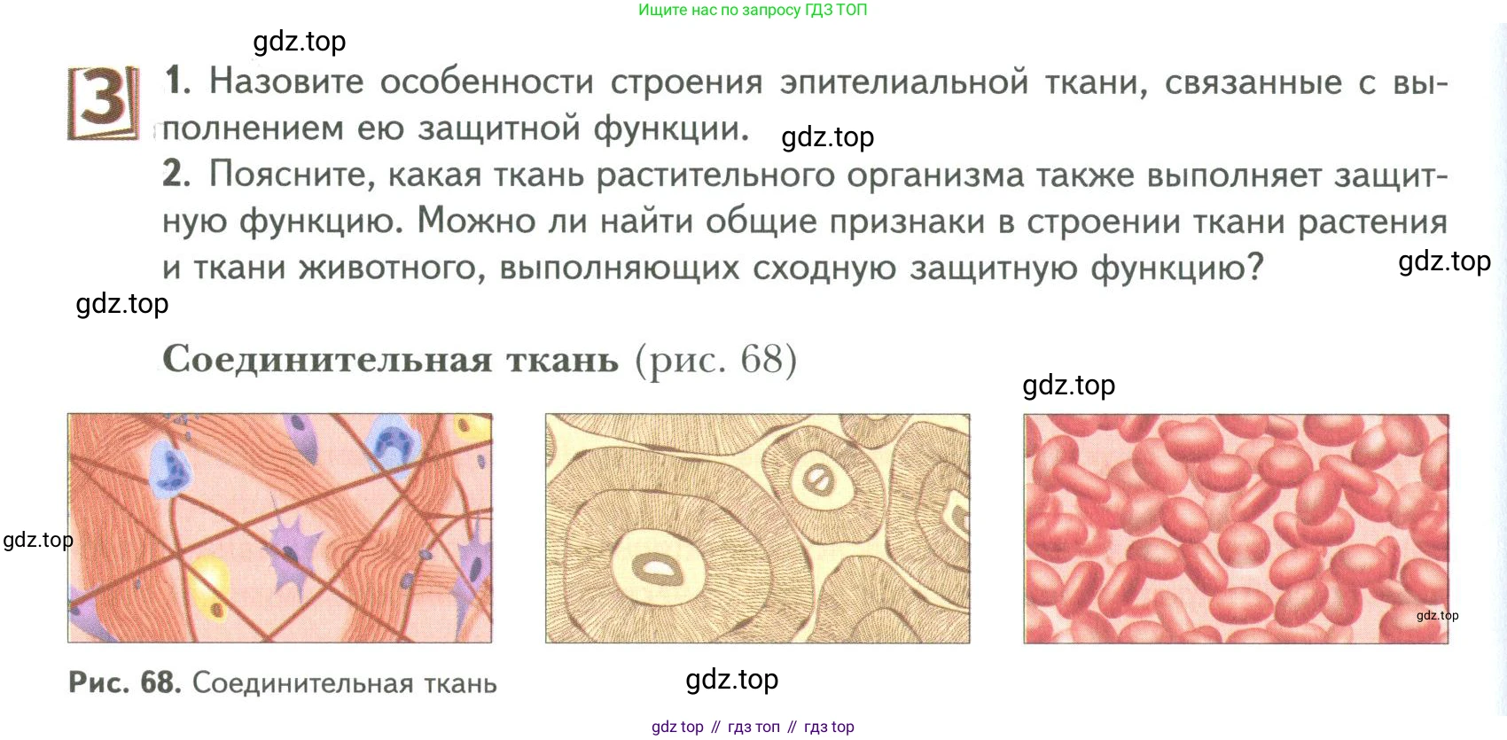 ГДЗ Биология, 9 класс Учебник, авторы: Сухова Тамара Сергеевна, Сарычева Наталия Юрьевна, Шаталова Светлана Петровна, Дмитриева Татьяна Андреевна, издательство Просвещение, Москва, 2021, страница 100, Условие