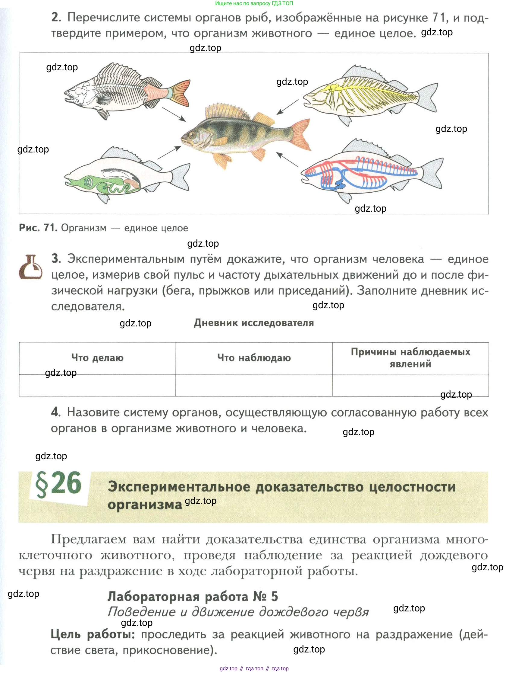 ГДЗ Биология, 9 класс Учебник, авторы: Сухова Тамара Сергеевна, Сарычева Наталия Юрьевна, Шаталова Светлана Петровна, Дмитриева Татьяна Андреевна, издательство Просвещение, Москва, 2021, страница 105, Условие