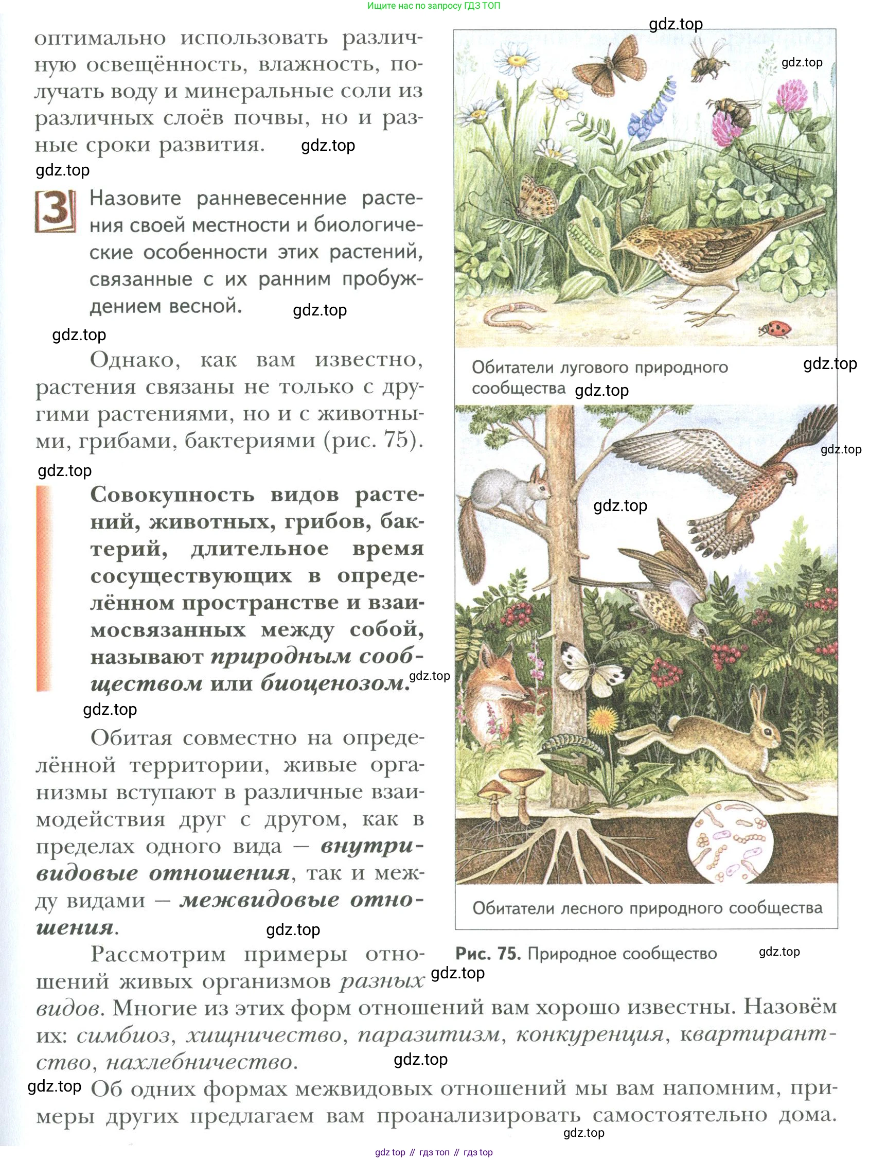 ГДЗ Биология, 9 класс Учебник, авторы: Сухова Тамара Сергеевна, Сарычева Наталия Юрьевна, Шаталова Светлана Петровна, Дмитриева Татьяна Андреевна, издательство Просвещение, Москва, 2021, страница 109, Условие