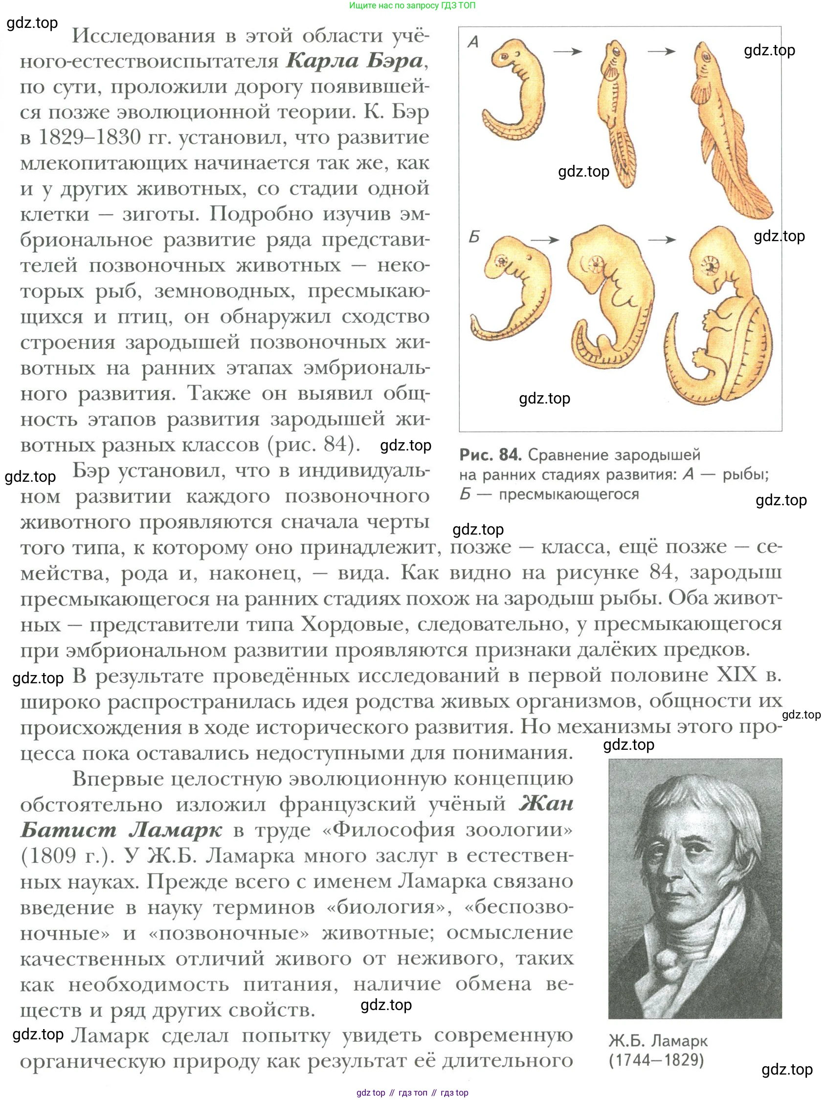 ГДЗ Биология, 9 класс Учебник, авторы: Сухова Тамара Сергеевна, Сарычева Наталия Юрьевна, Шаталова Светлана Петровна, Дмитриева Татьяна Андреевна, издательство Просвещение, Москва, 2021, страница 123, Условие