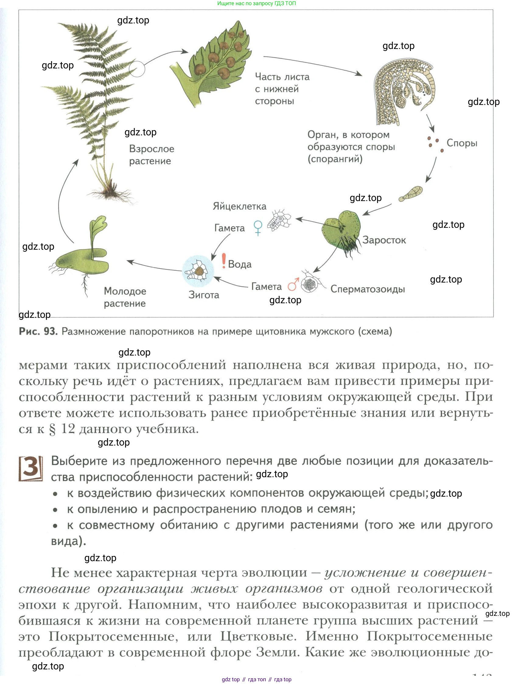 ГДЗ Биология, 9 класс Учебник, авторы: Сухова Тамара Сергеевна, Сарычева Наталия Юрьевна, Шаталова Светлана Петровна, Дмитриева Татьяна Андреевна, издательство Просвещение, Москва, 2021, страница 143, Условие