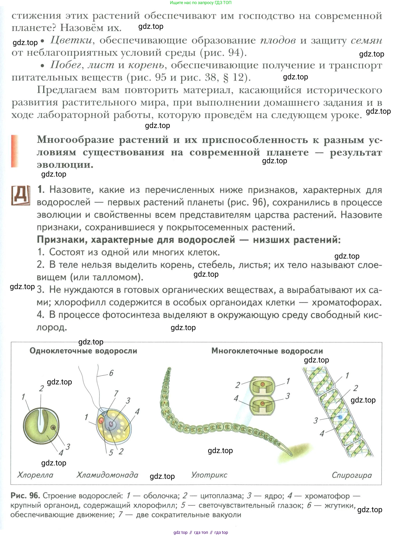 ГДЗ Биология, 9 класс Учебник, авторы: Сухова Тамара Сергеевна, Сарычева Наталия Юрьевна, Шаталова Светлана Петровна, Дмитриева Татьяна Андреевна, издательство Просвещение, Москва, 2021, страница 145, Условие