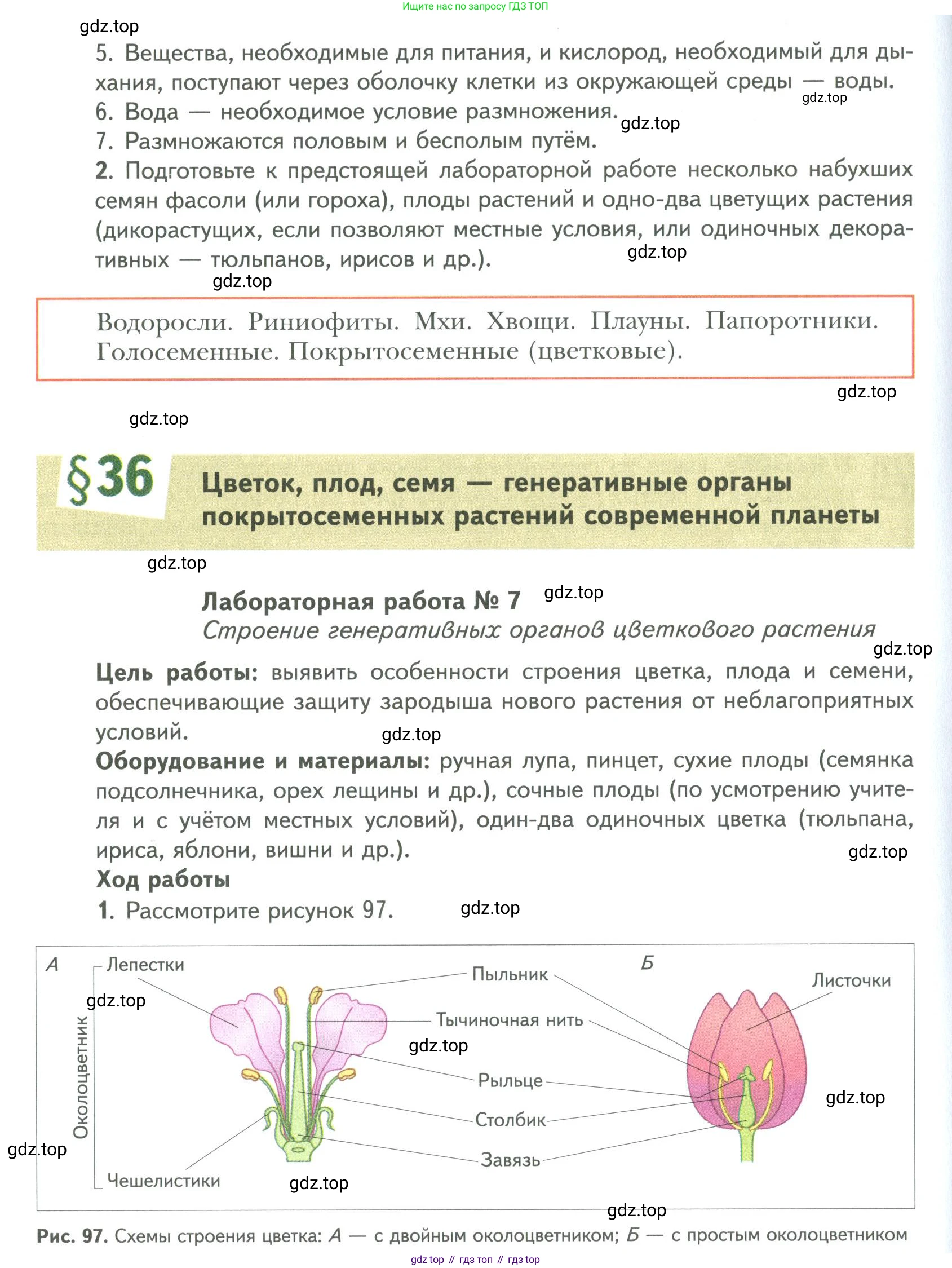 ГДЗ Биология, 9 класс Учебник, авторы: Сухова Тамара Сергеевна, Сарычева Наталия Юрьевна, Шаталова Светлана Петровна, Дмитриева Татьяна Андреевна, издательство Просвещение, Москва, 2021, страница 146, Условие