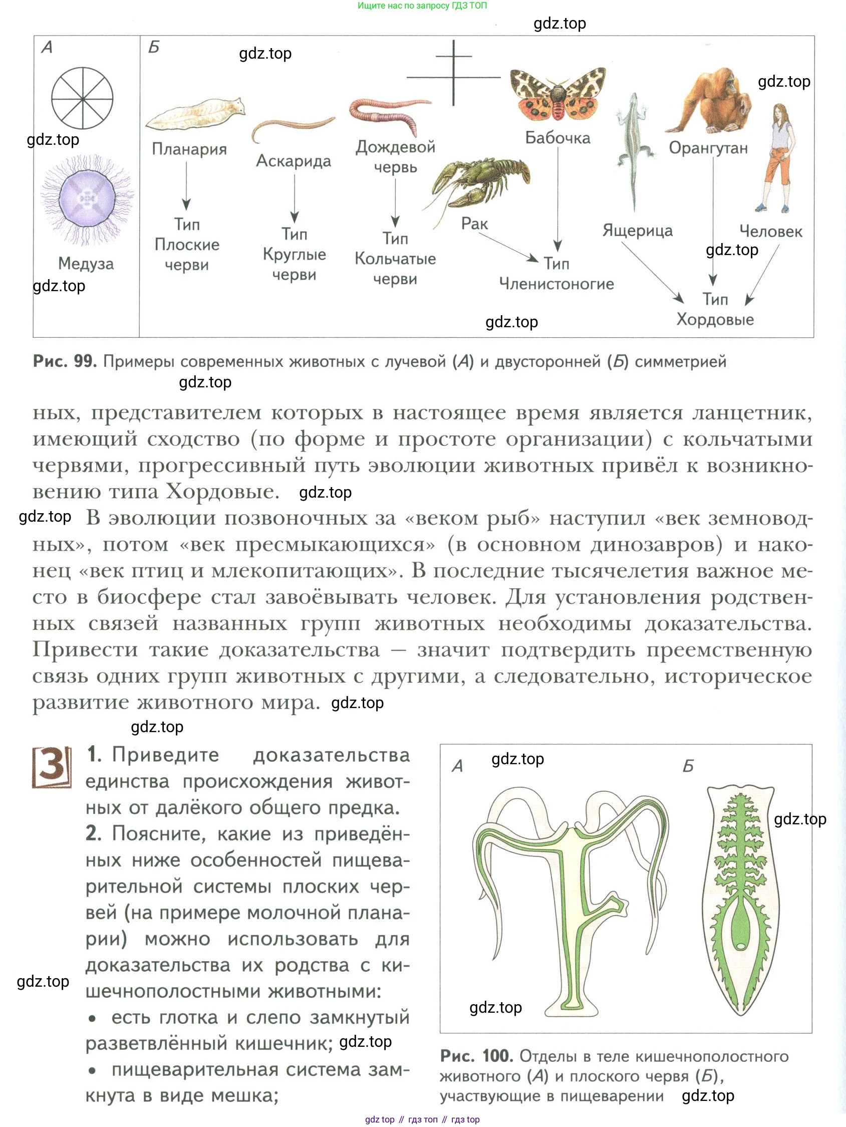 ГДЗ Биология, 9 класс Учебник, авторы: Сухова Тамара Сергеевна, Сарычева Наталия Юрьевна, Шаталова Светлана Петровна, Дмитриева Татьяна Андреевна, издательство Просвещение, Москва, 2021, страница 150, Условие