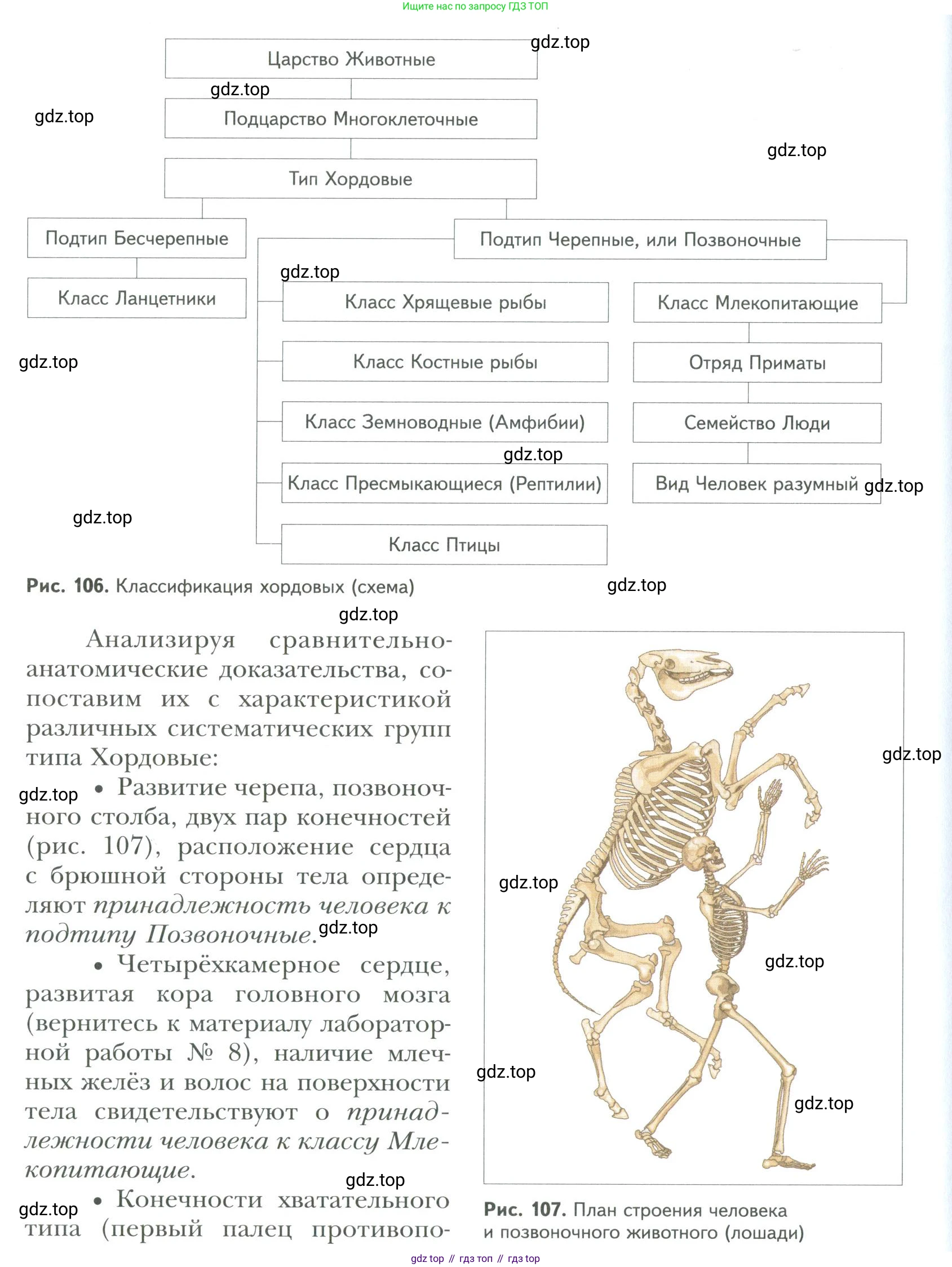 ГДЗ Биология, 9 класс Учебник, авторы: Сухова Тамара Сергеевна, Сарычева Наталия Юрьевна, Шаталова Светлана Петровна, Дмитриева Татьяна Андреевна, издательство Просвещение, Москва, 2021, страница 156, Условие