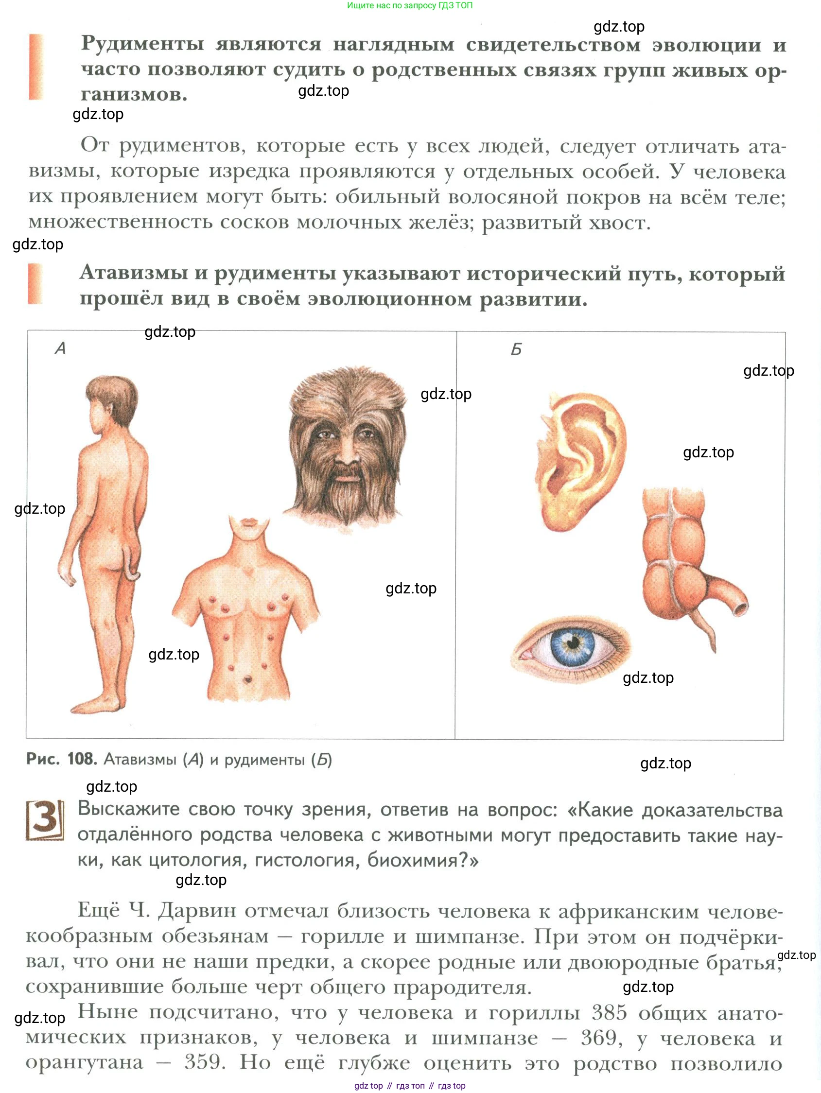 ГДЗ Биология, 9 класс Учебник, авторы: Сухова Тамара Сергеевна, Сарычева Наталия Юрьевна, Шаталова Светлана Петровна, Дмитриева Татьяна Андреевна, издательство Просвещение, Москва, 2021, страница 158, Условие