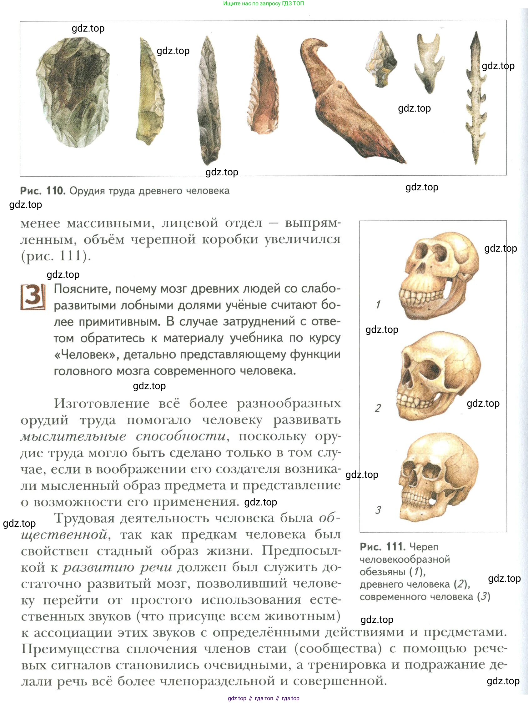 ГДЗ Биология, 9 класс Учебник, авторы: Сухова Тамара Сергеевна, Сарычева Наталия Юрьевна, Шаталова Светлана Петровна, Дмитриева Татьяна Андреевна, издательство Просвещение, Москва, 2021, страница 162, Условие