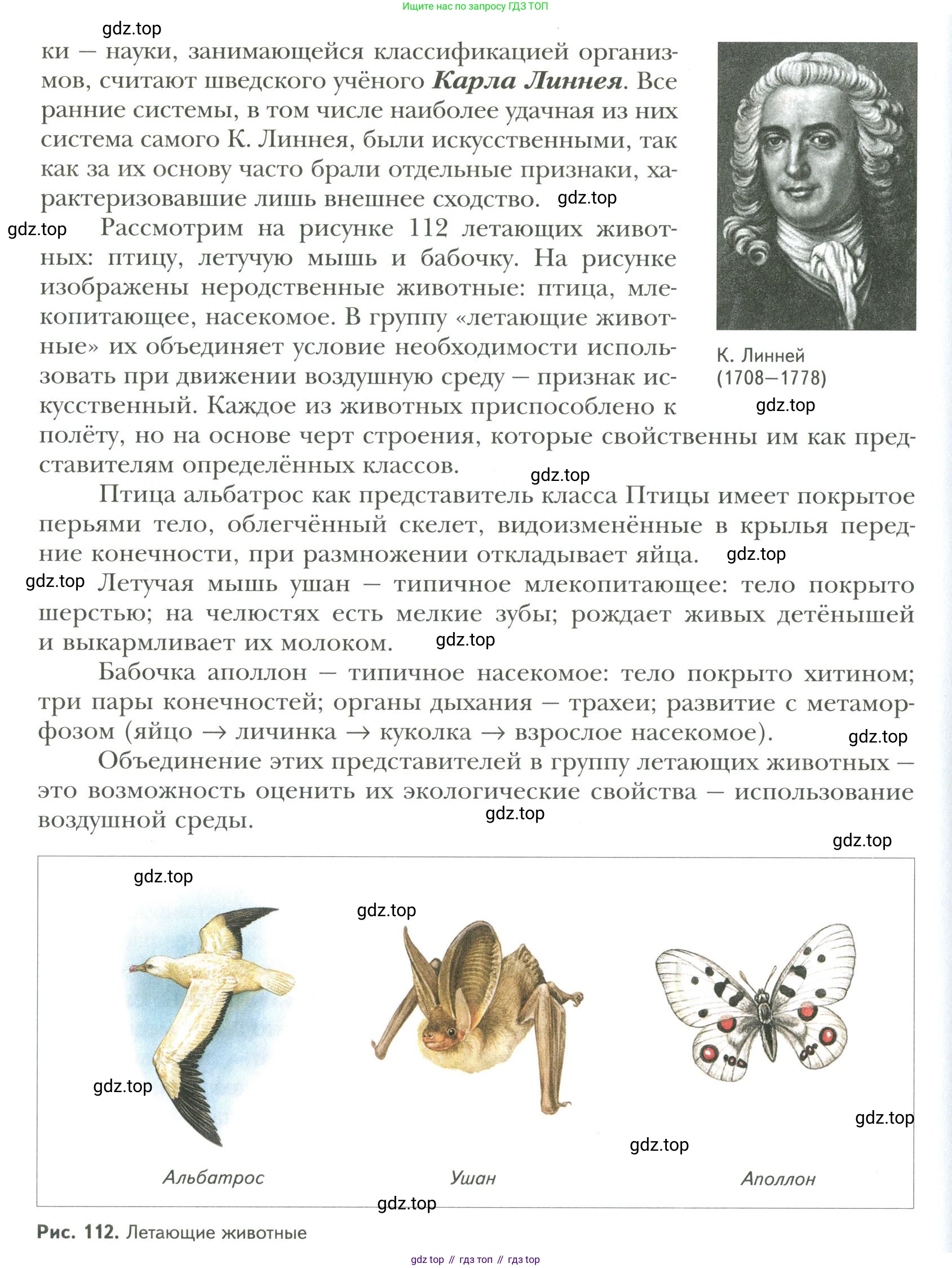 ГДЗ Биология, 9 класс Учебник, авторы: Сухова Тамара Сергеевна, Сарычева Наталия Юрьевна, Шаталова Светлана Петровна, Дмитриева Татьяна Андреевна, издательство Просвещение, Москва, 2021, страница 168, Условие