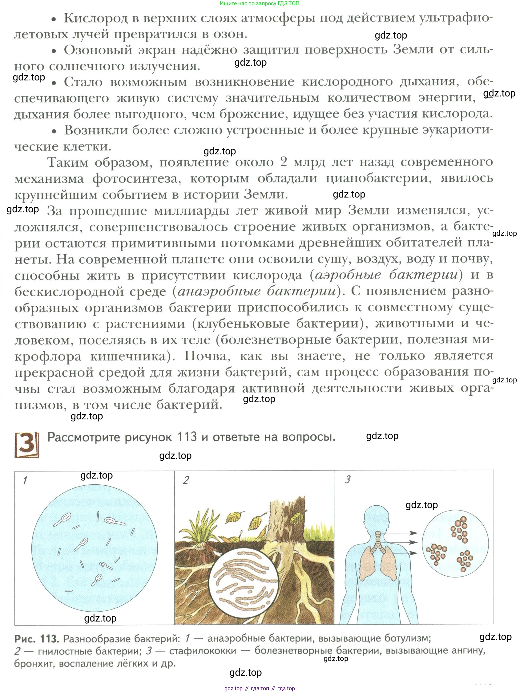 ГДЗ Биология, 9 класс Учебник, авторы: Сухова Тамара Сергеевна, Сарычева Наталия Юрьевна, Шаталова Светлана Петровна, Дмитриева Татьяна Андреевна, издательство Просвещение, Москва, 2021, страница 173, Условие