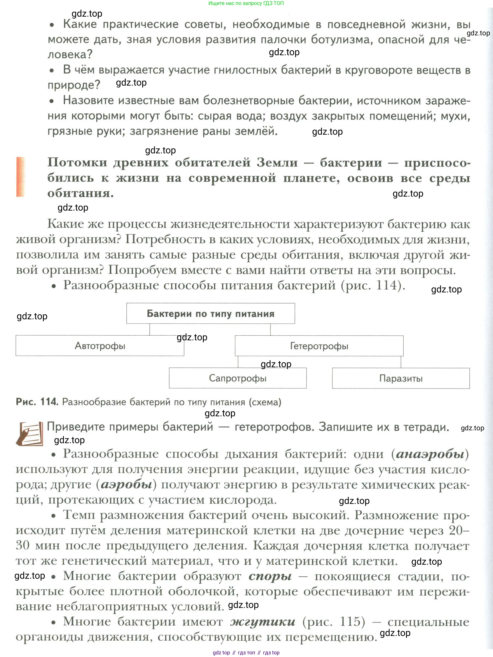 ГДЗ Биология, 9 класс Учебник, авторы: Сухова Тамара Сергеевна, Сарычева Наталия Юрьевна, Шаталова Светлана Петровна, Дмитриева Татьяна Андреевна, издательство Просвещение, Москва, 2021, страница 174, Условие