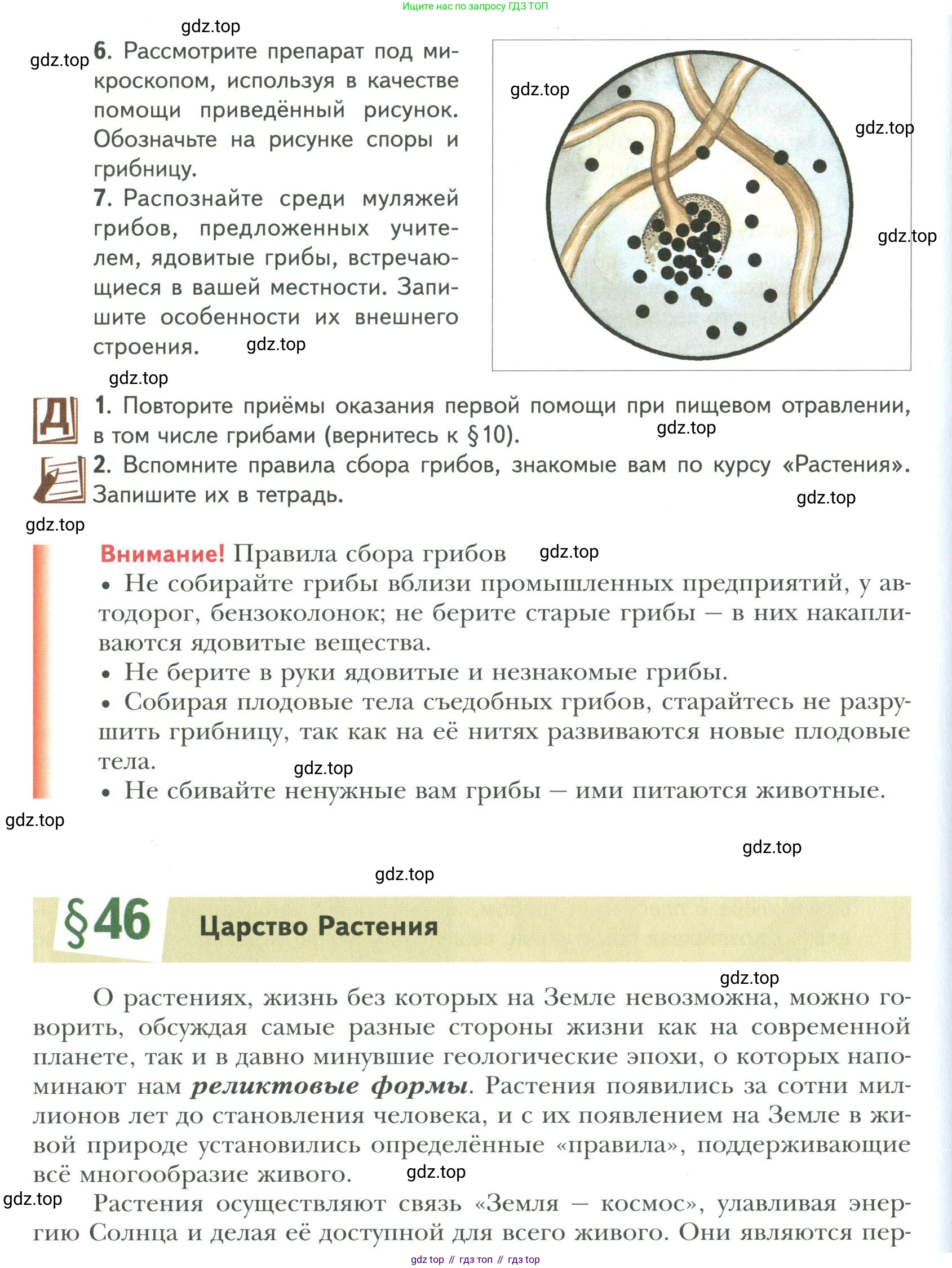 ГДЗ Биология, 9 класс Учебник, авторы: Сухова Тамара Сергеевна, Сарычева Наталия Юрьевна, Шаталова Светлана Петровна, Дмитриева Татьяна Андреевна, издательство Просвещение, Москва, 2021, страница 182, Условие