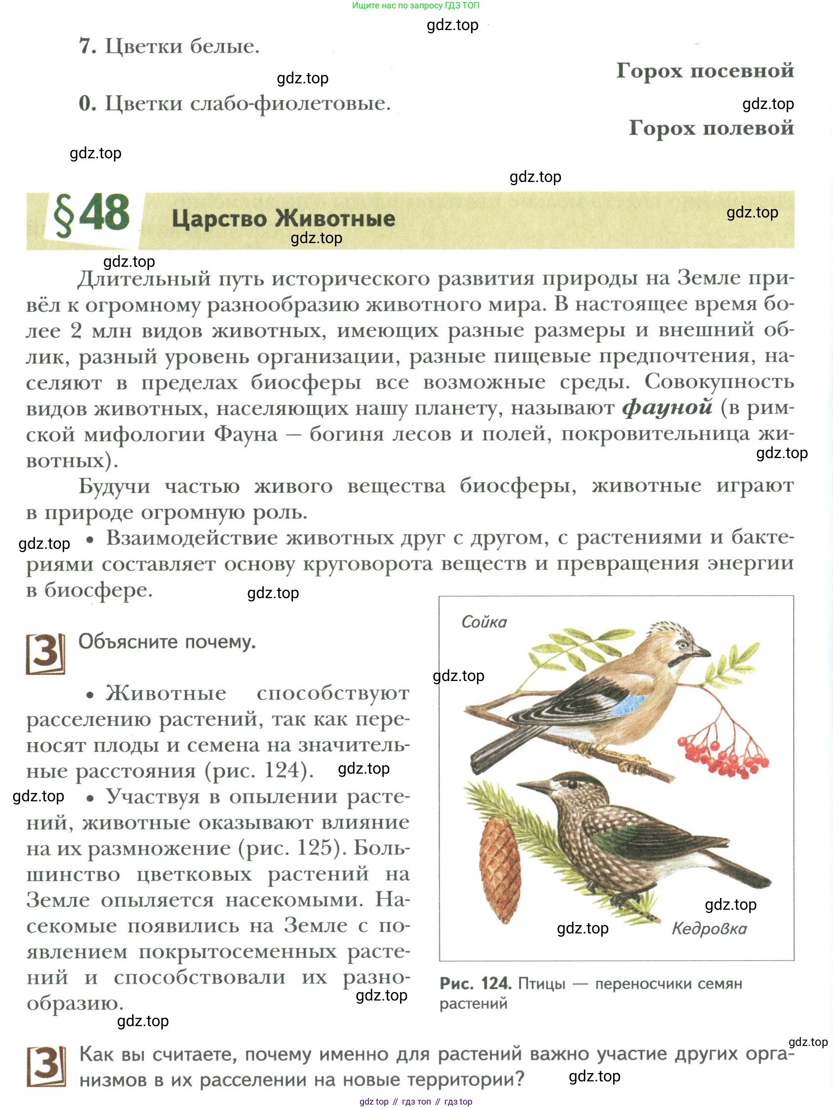ГДЗ Биология, 9 класс Учебник, авторы: Сухова Тамара Сергеевна, Сарычева Наталия Юрьевна, Шаталова Светлана Петровна, Дмитриева Татьяна Андреевна, издательство Просвещение, Москва, 2021, страница 196, Условие