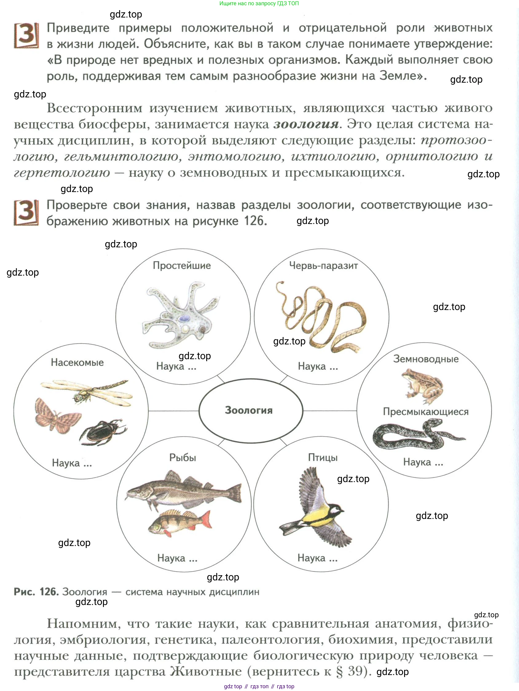 ГДЗ Биология, 9 класс Учебник, авторы: Сухова Тамара Сергеевна, Сарычева Наталия Юрьевна, Шаталова Светлана Петровна, Дмитриева Татьяна Андреевна, издательство Просвещение, Москва, 2021, страница 198, Условие