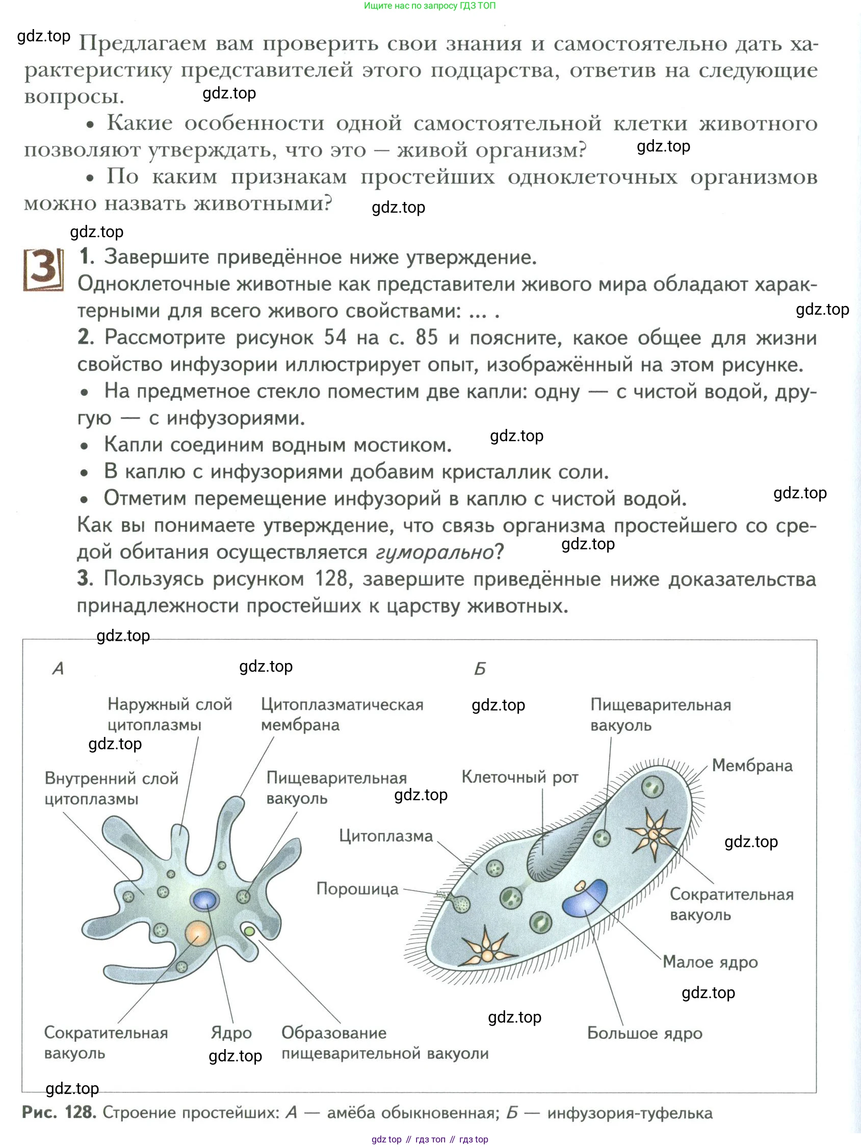 ГДЗ Биология, 9 класс Учебник, авторы: Сухова Тамара Сергеевна, Сарычева Наталия Юрьевна, Шаталова Светлана Петровна, Дмитриева Татьяна Андреевна, издательство Просвещение, Москва, 2021, страница 200, Условие