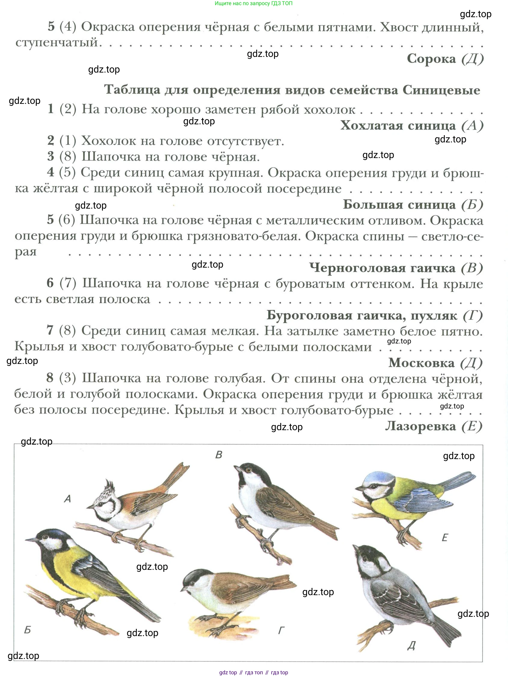 ГДЗ Биология, 9 класс Учебник, авторы: Сухова Тамара Сергеевна, Сарычева Наталия Юрьевна, Шаталова Светлана Петровна, Дмитриева Татьяна Андреевна, издательство Просвещение, Москва, 2021, страница 206, Условие
