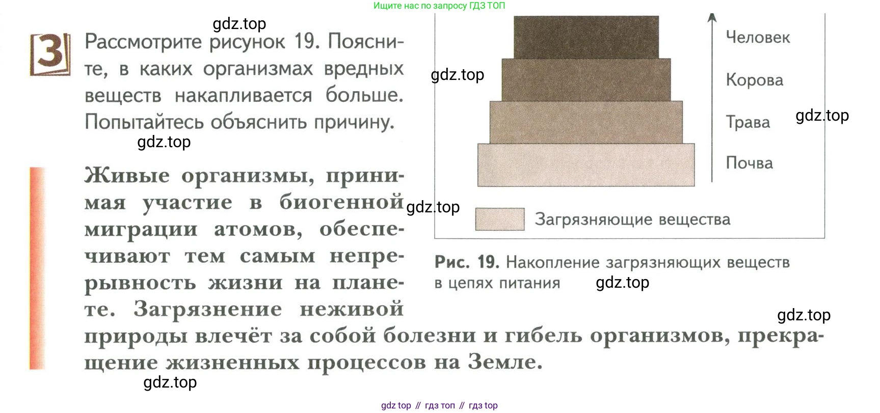 ГДЗ Биология, 9 класс Учебник, авторы: Сухова Тамара Сергеевна, Сарычева Наталия Юрьевна, Шаталова Светлана Петровна, Дмитриева Татьяна Андреевна, издательство Просвещение, Москва, 2021, страница 33, Условие
