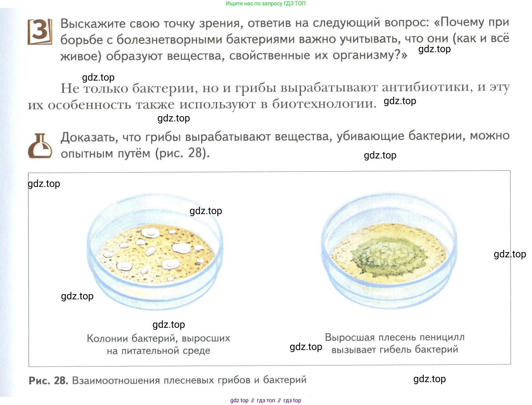ГДЗ Биология, 9 класс Учебник, авторы: Сухова Тамара Сергеевна, Сарычева Наталия Юрьевна, Шаталова Светлана Петровна, Дмитриева Татьяна Андреевна, издательство Просвещение, Москва, 2021, страница 43, Условие
