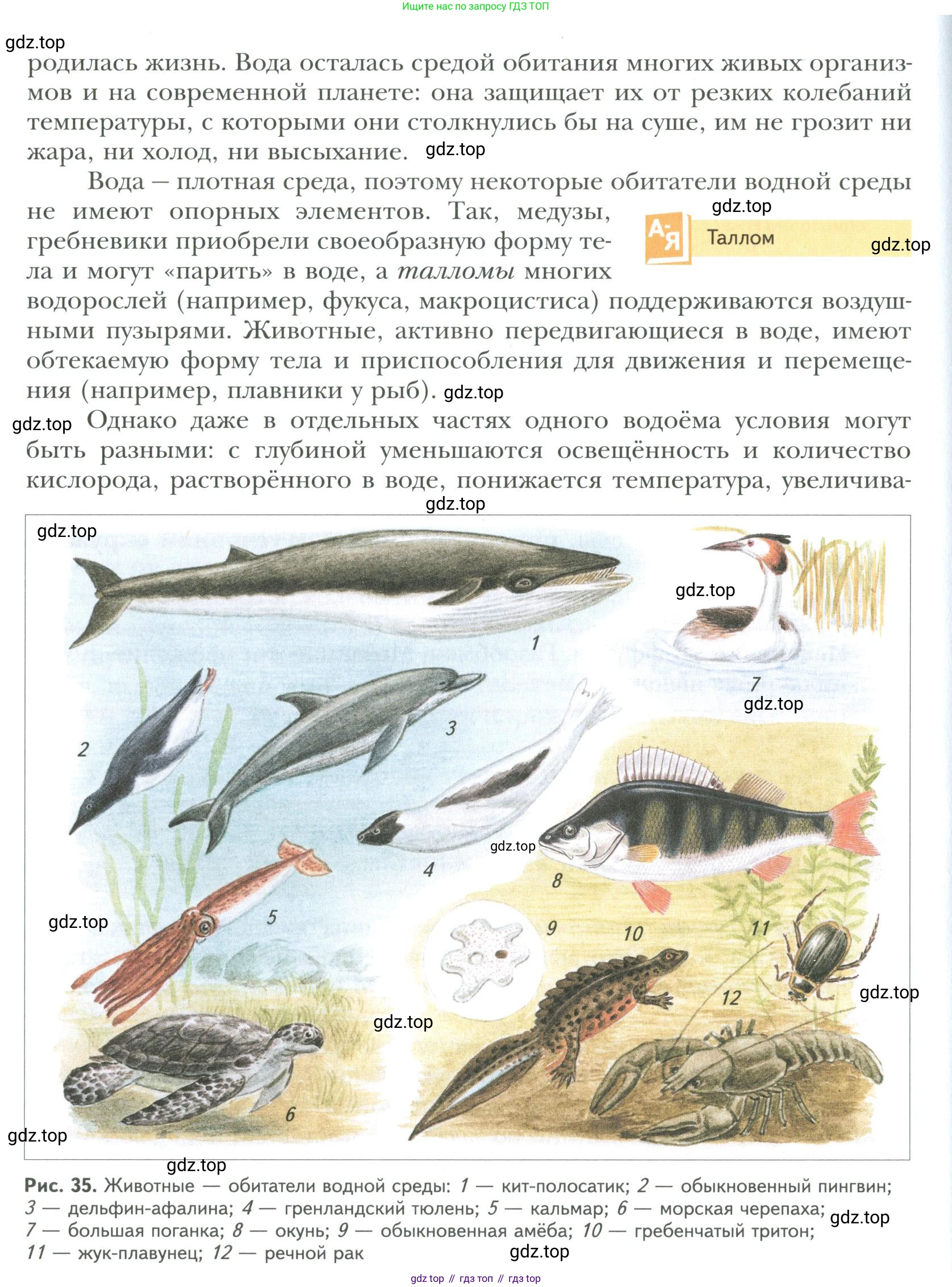 ГДЗ Биология, 9 класс Учебник, авторы: Сухова Тамара Сергеевна, Сарычева Наталия Юрьевна, Шаталова Светлана Петровна, Дмитриева Татьяна Андреевна, издательство Просвещение, Москва, 2021, страница 54, Условие