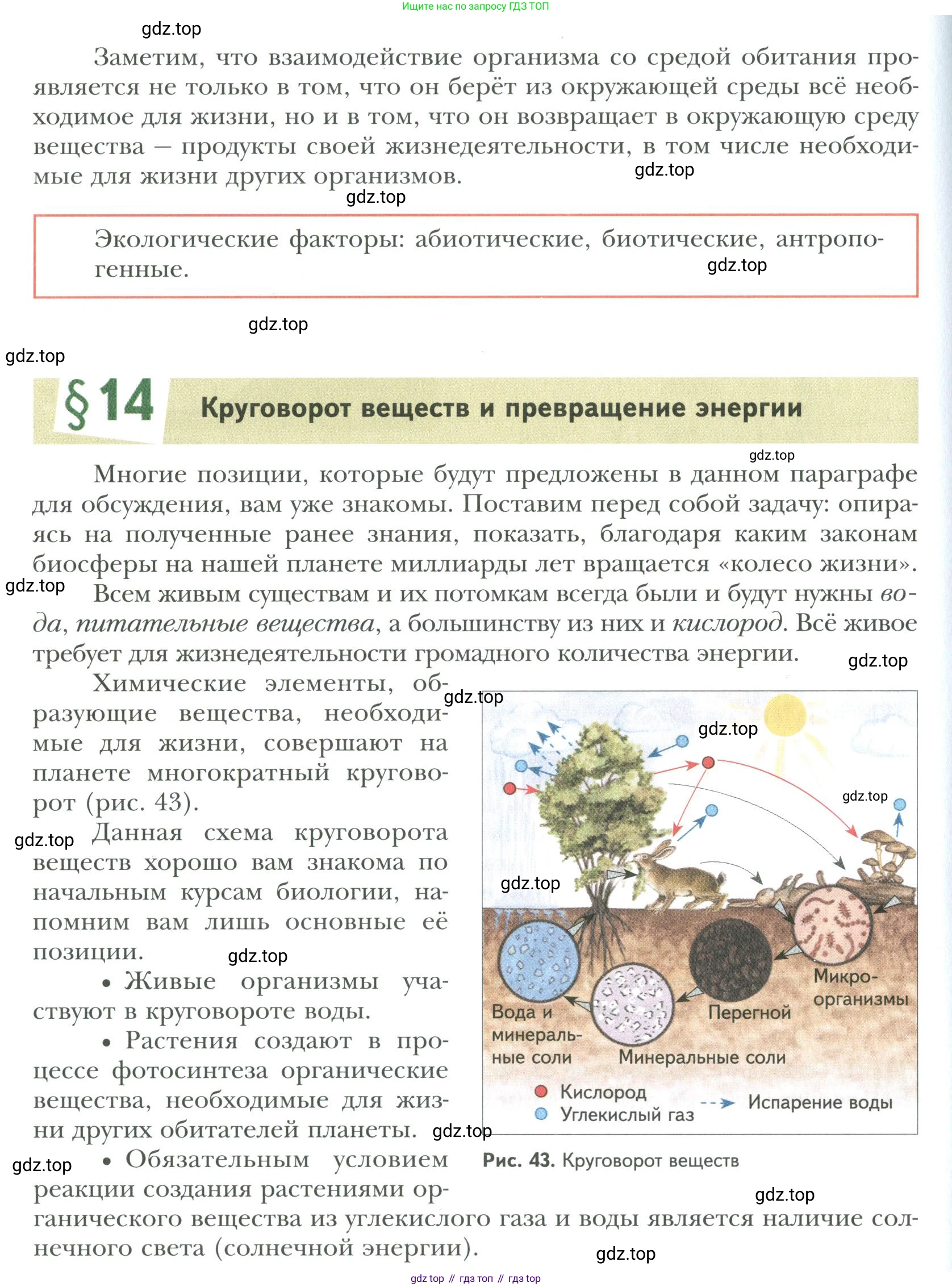 ГДЗ Биология, 9 класс Учебник, авторы: Сухова Тамара Сергеевна, Сарычева Наталия Юрьевна, Шаталова Светлана Петровна, Дмитриева Татьяна Андреевна, издательство Просвещение, Москва, 2021, страница 66, Условие