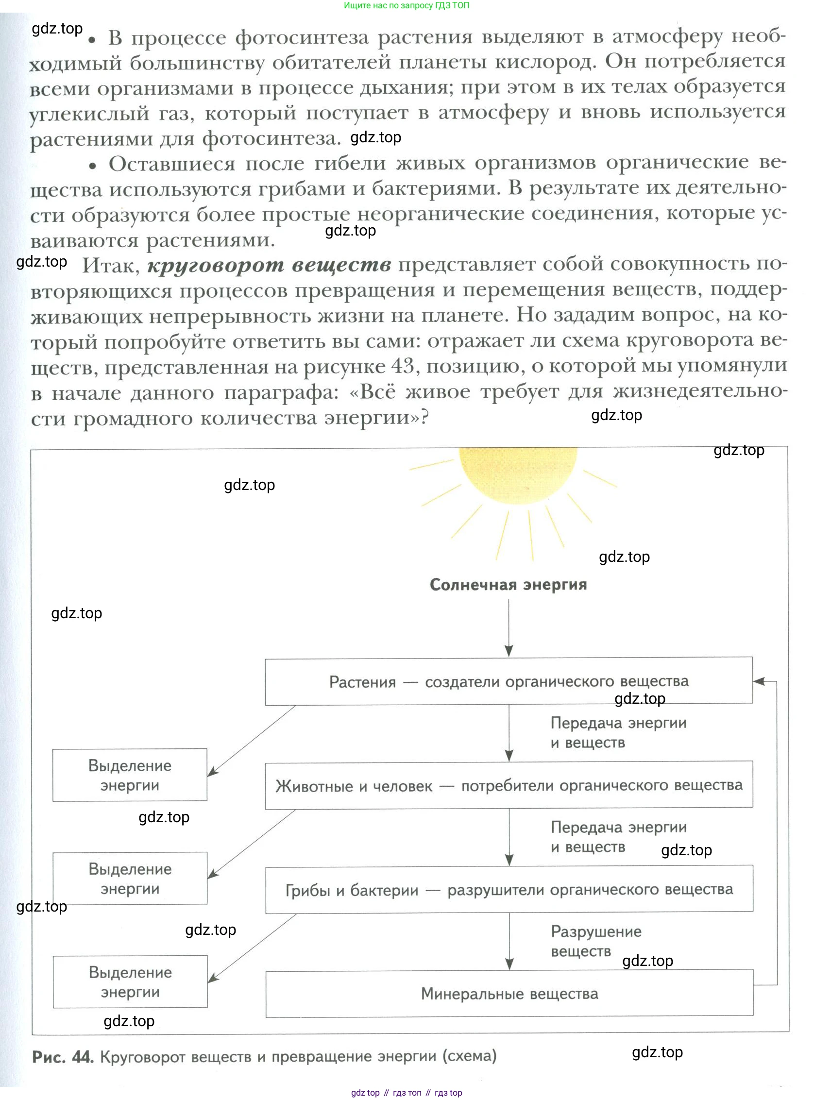 ГДЗ Биология, 9 класс Учебник, авторы: Сухова Тамара Сергеевна, Сарычева Наталия Юрьевна, Шаталова Светлана Петровна, Дмитриева Татьяна Андреевна, издательство Просвещение, Москва, 2021, страница 67, Условие