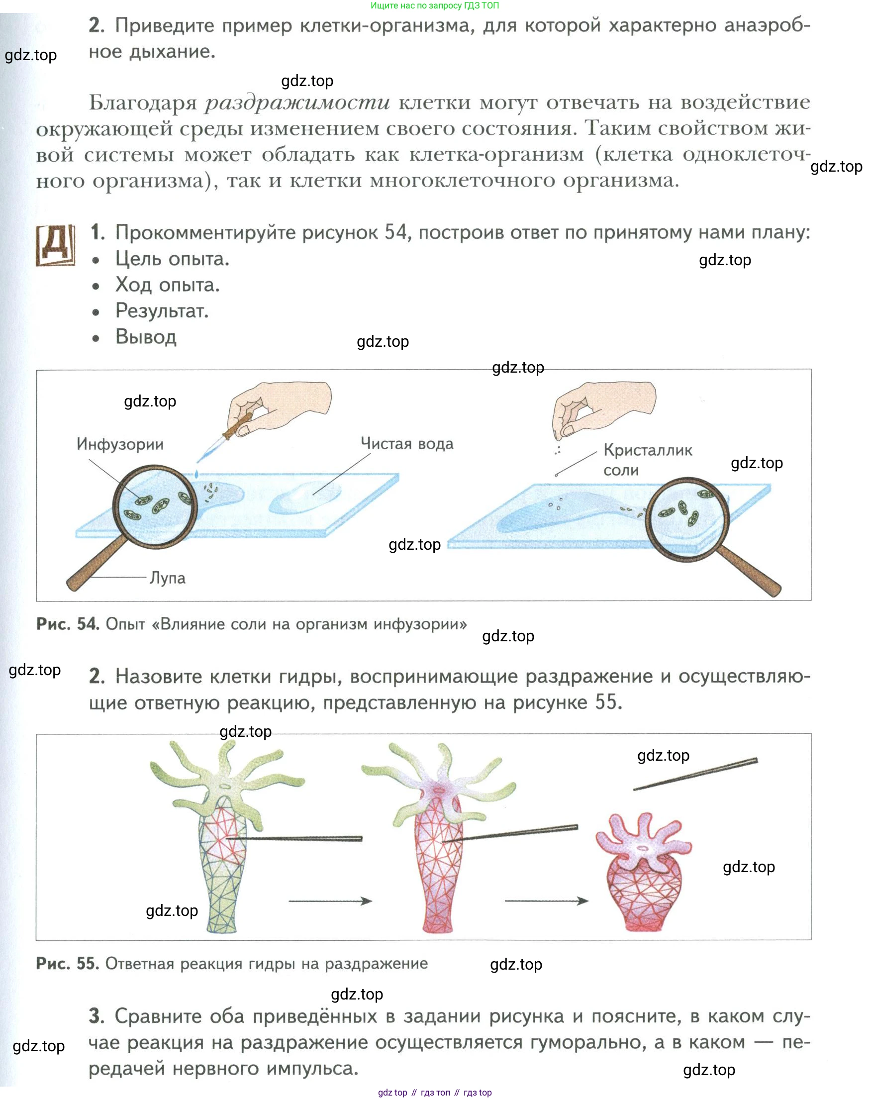 ГДЗ Биология, 9 класс Учебник, авторы: Сухова Тамара Сергеевна, Сарычева Наталия Юрьевна, Шаталова Светлана Петровна, Дмитриева Татьяна Андреевна, издательство Просвещение, Москва, 2021, страница 85, Условие