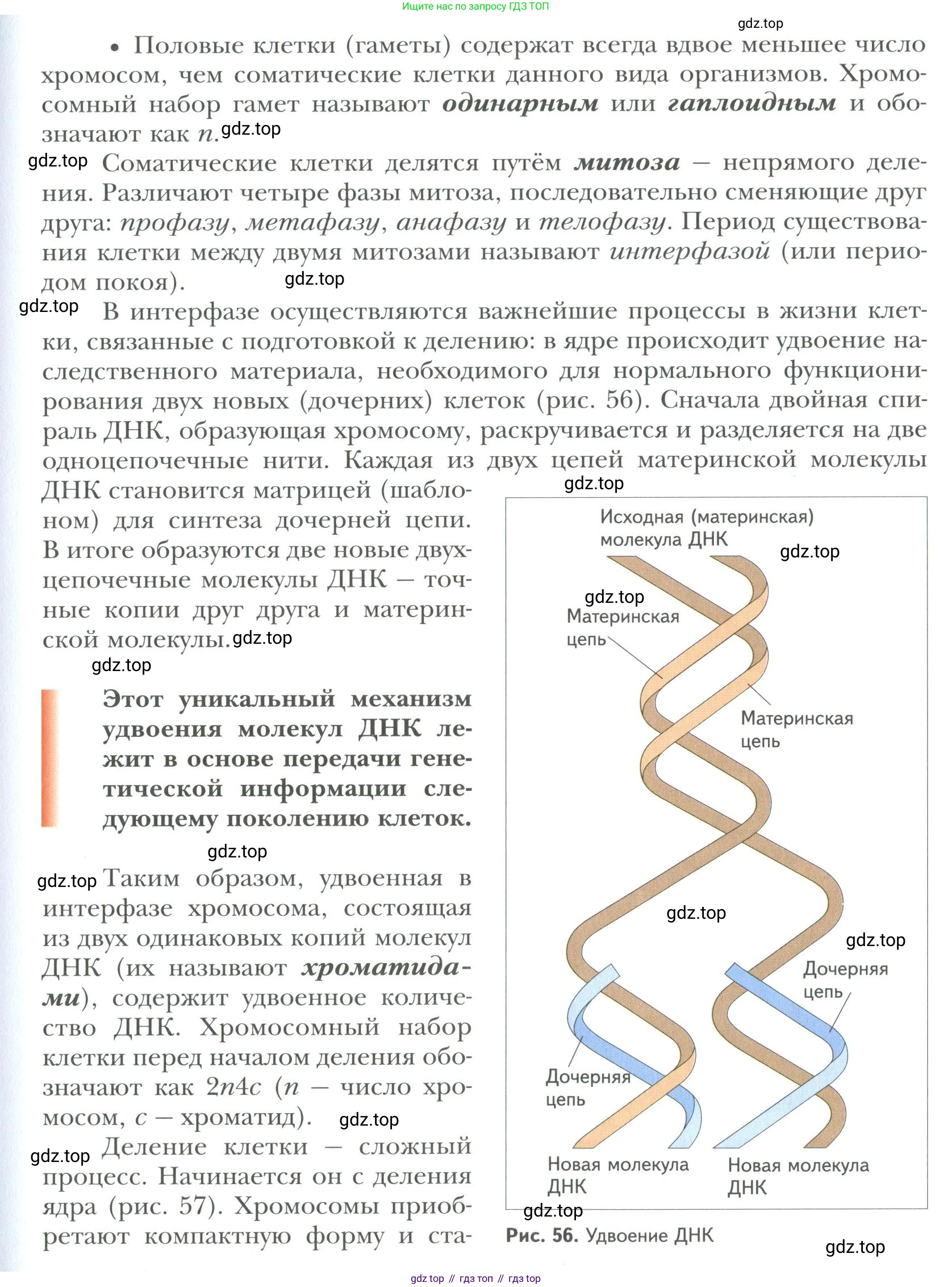 ГДЗ Биология, 9 класс Учебник, авторы: Сухова Тамара Сергеевна, Сарычева Наталия Юрьевна, Шаталова Светлана Петровна, Дмитриева Татьяна Андреевна, издательство Просвещение, Москва, 2021, страница 87, Условие