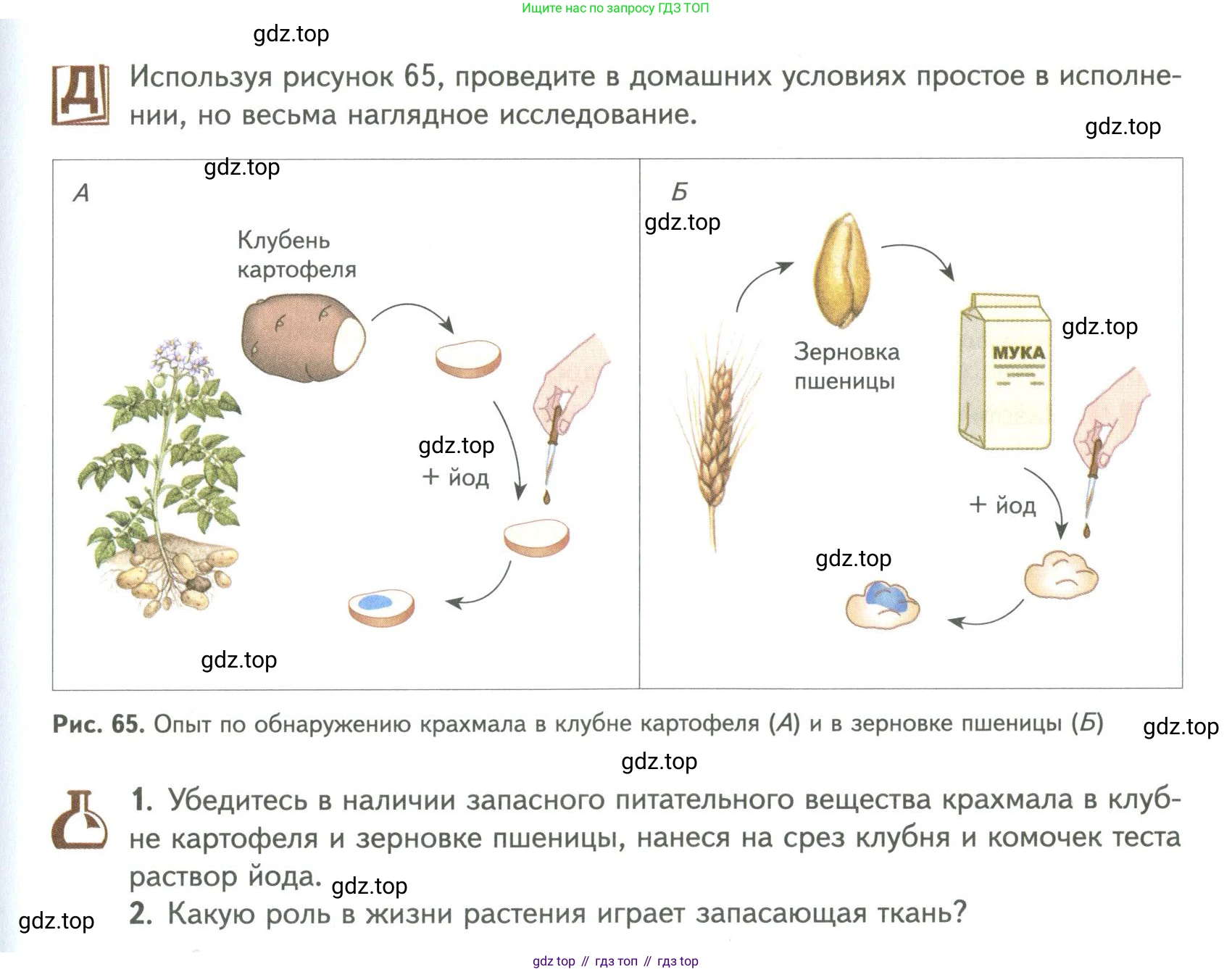 ГДЗ Биология, 9 класс Учебник, авторы: Сухова Тамара Сергеевна, Сарычева Наталия Юрьевна, Шаталова Светлана Петровна, Дмитриева Татьяна Андреевна, издательство Просвещение, Москва, 2021, страница 99, Условие