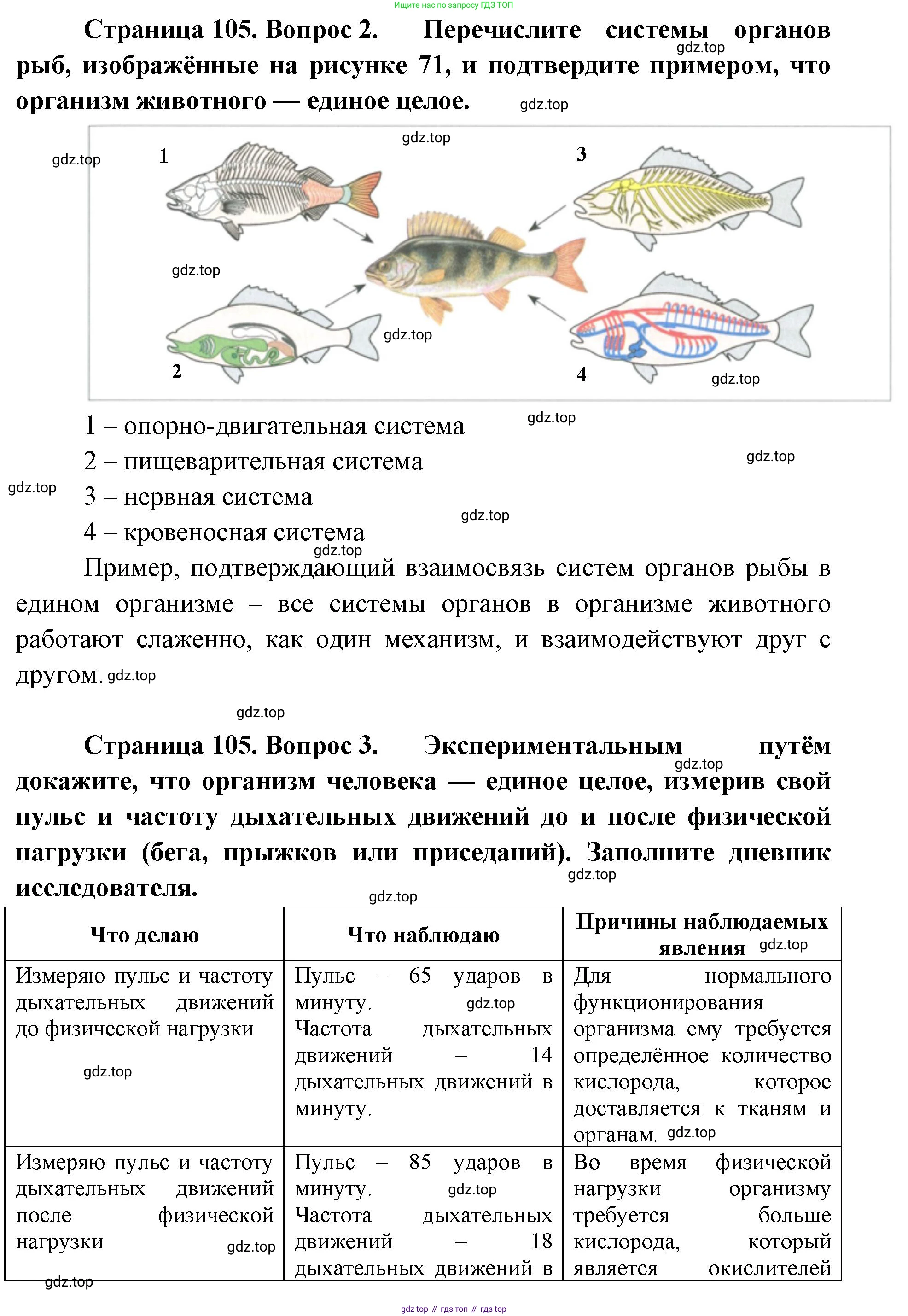 ГДЗ Биология, 9 класс Учебник, авторы: Сухова Тамара Сергеевна, Сарычева Наталия Юрьевна, Шаталова Светлана Петровна, Дмитриева Татьяна Андреевна, издательство Просвещение, Москва, 2021, страница 105, Решение