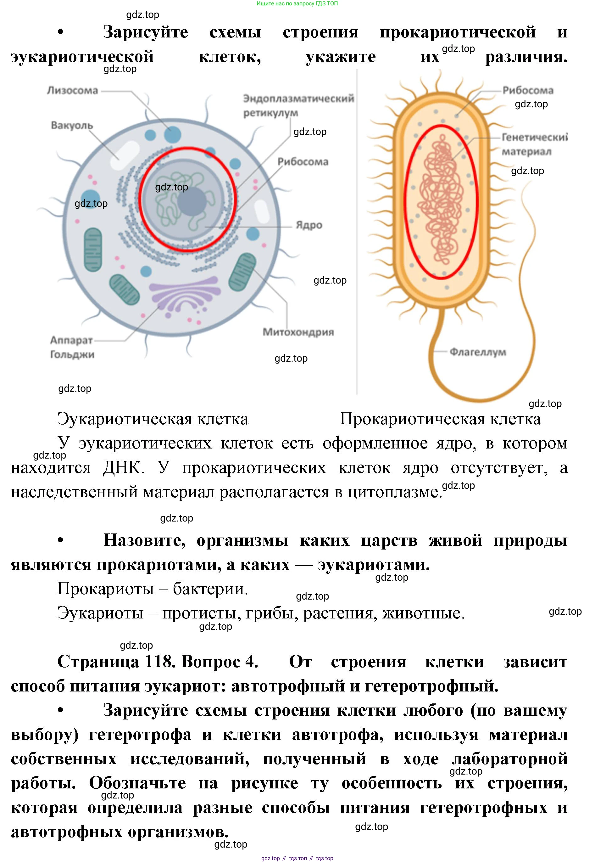 ГДЗ Биология, 9 класс Учебник, авторы: Сухова Тамара Сергеевна, Сарычева Наталия Юрьевна, Шаталова Светлана Петровна, Дмитриева Татьяна Андреевна, издательство Просвещение, Москва, 2021, страница 118, Решение (продолжение 2)