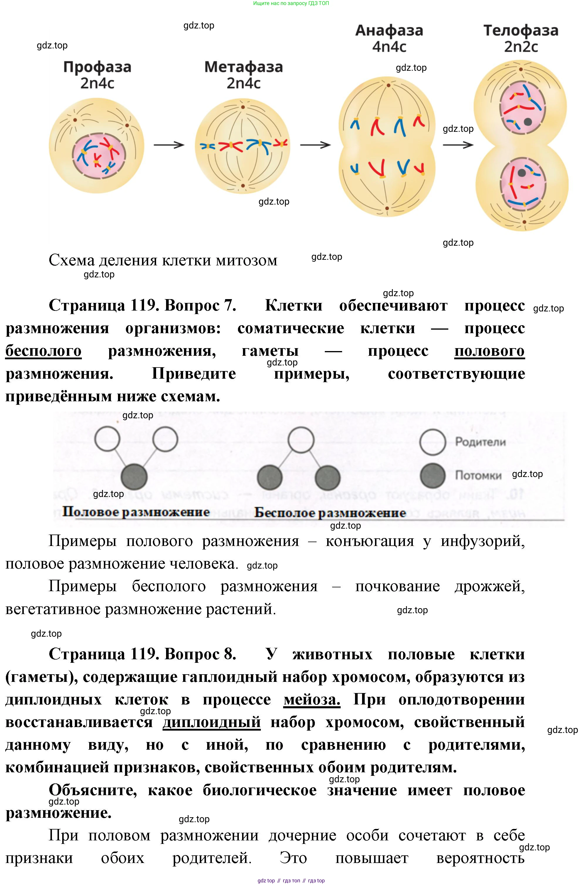 ГДЗ Биология, 9 класс Учебник, авторы: Сухова Тамара Сергеевна, Сарычева Наталия Юрьевна, Шаталова Светлана Петровна, Дмитриева Татьяна Андреевна, издательство Просвещение, Москва, 2021, страница 119, Решение (продолжение 2)
