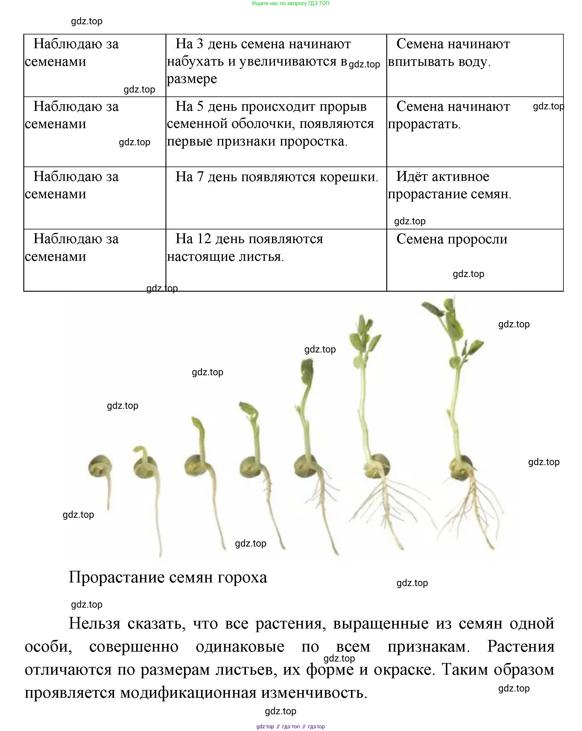 ГДЗ Биология, 9 класс Учебник, авторы: Сухова Тамара Сергеевна, Сарычева Наталия Юрьевна, Шаталова Светлана Петровна, Дмитриева Татьяна Андреевна, издательство Просвещение, Москва, 2021, страница 136, Решение (продолжение 2)