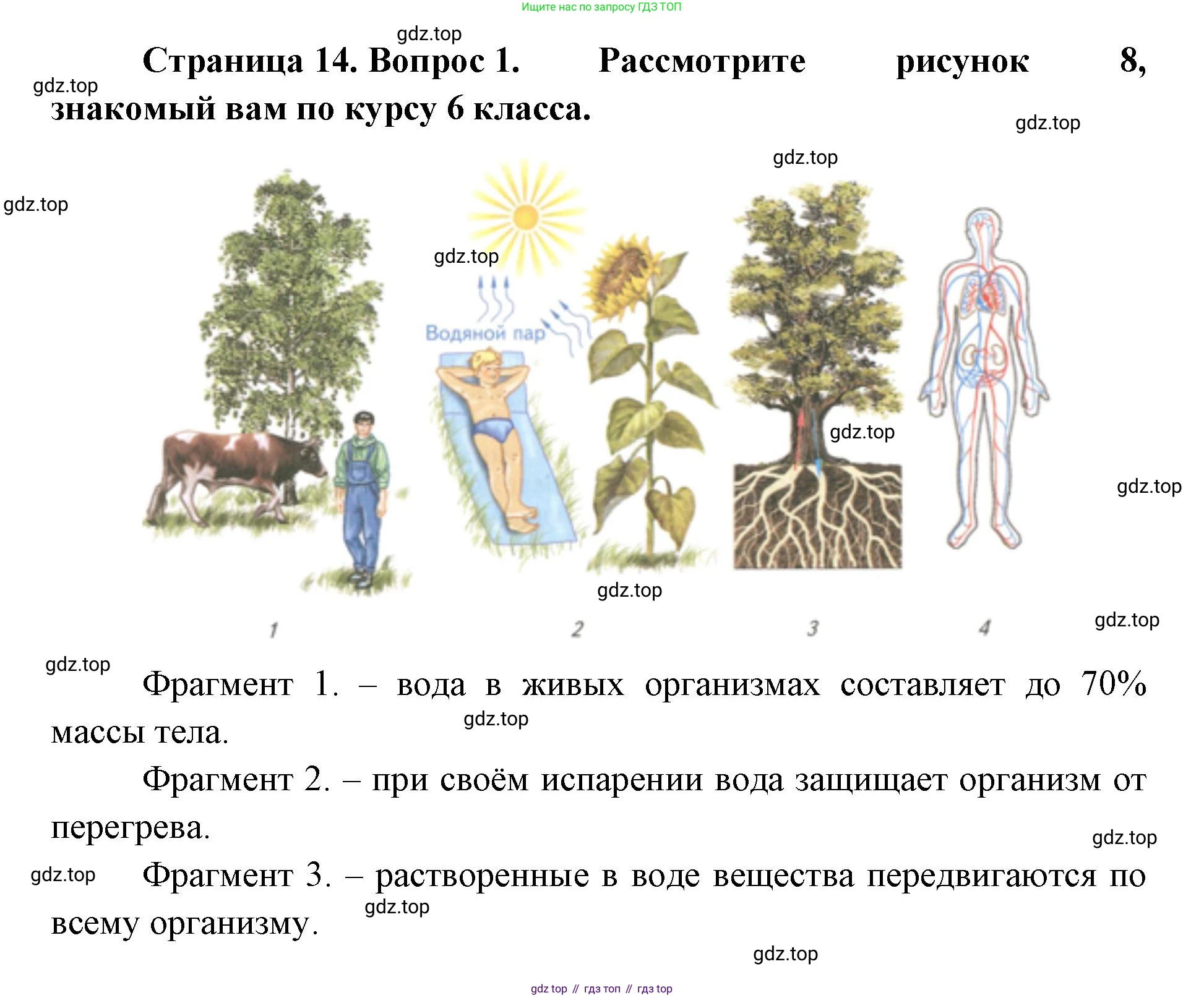 ГДЗ Биология, 9 класс Учебник, авторы: Сухова Тамара Сергеевна, Сарычева Наталия Юрьевна, Шаталова Светлана Петровна, Дмитриева Татьяна Андреевна, издательство Просвещение, Москва, 2021, страница 14, Решение