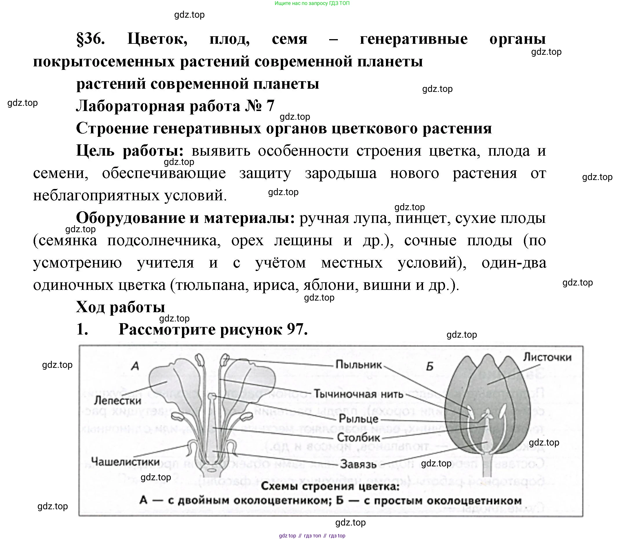 ГДЗ Биология, 9 класс Учебник, авторы: Сухова Тамара Сергеевна, Сарычева Наталия Юрьевна, Шаталова Светлана Петровна, Дмитриева Татьяна Андреевна, издательство Просвещение, Москва, 2021, страница 146, Решение (продолжение 2)