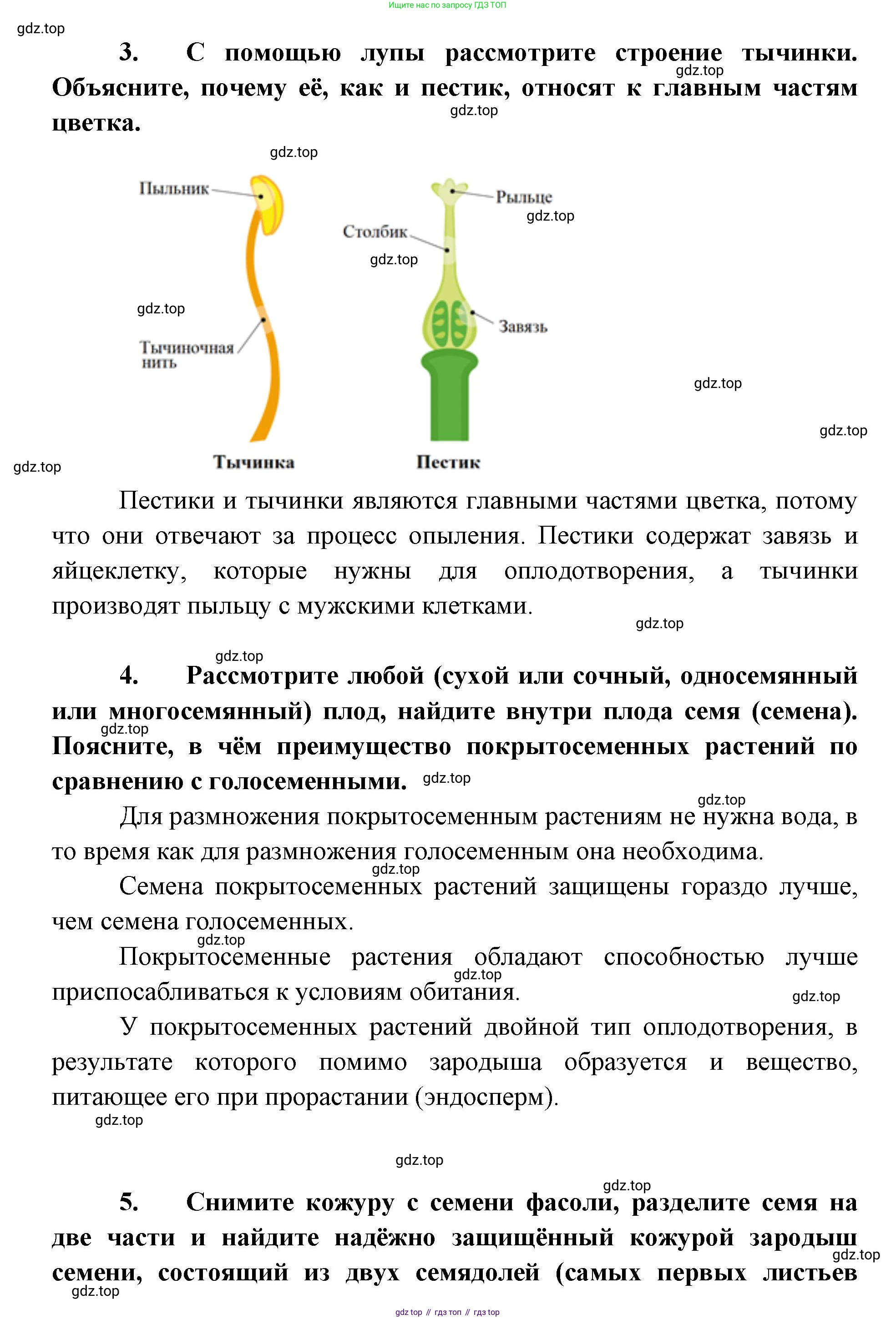 ГДЗ Биология, 9 класс Учебник, авторы: Сухова Тамара Сергеевна, Сарычева Наталия Юрьевна, Шаталова Светлана Петровна, Дмитриева Татьяна Андреевна, издательство Просвещение, Москва, 2021, страница 147, Решение (продолжение 2)