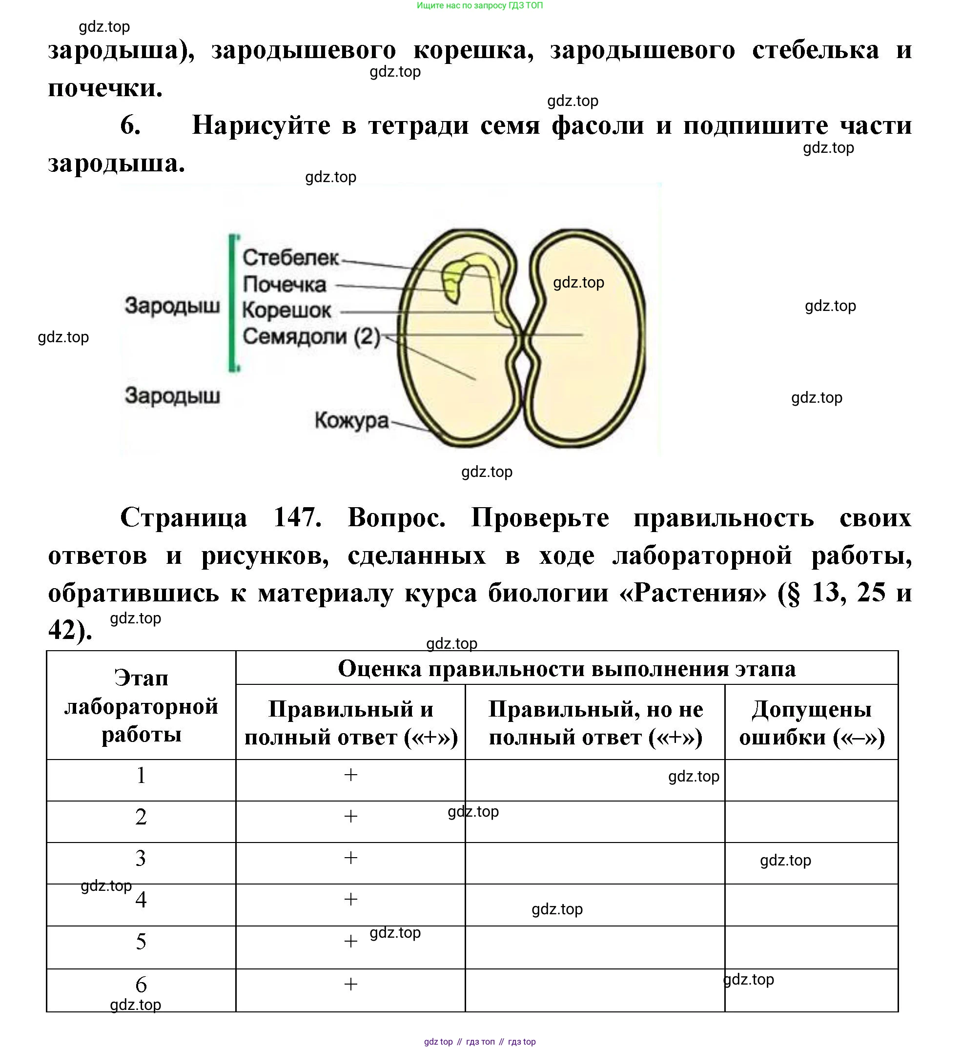 ГДЗ Биология, 9 класс Учебник, авторы: Сухова Тамара Сергеевна, Сарычева Наталия Юрьевна, Шаталова Светлана Петровна, Дмитриева Татьяна Андреевна, издательство Просвещение, Москва, 2021, страница 147, Решение (продолжение 3)