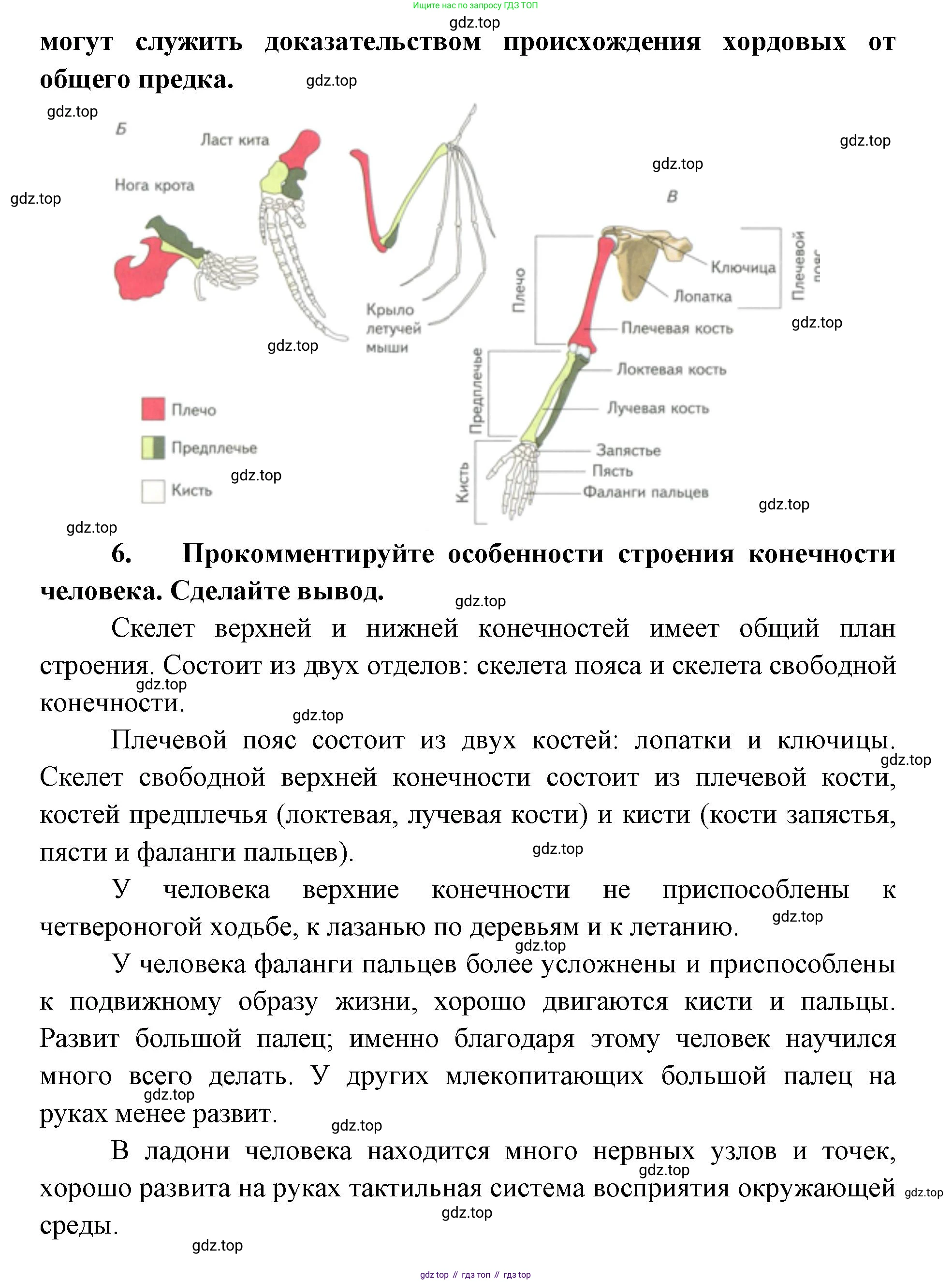 ГДЗ Биология, 9 класс Учебник, авторы: Сухова Тамара Сергеевна, Сарычева Наталия Юрьевна, Шаталова Светлана Петровна, Дмитриева Татьяна Андреевна, издательство Просвещение, Москва, 2021, страница 155, Решение (продолжение 3)