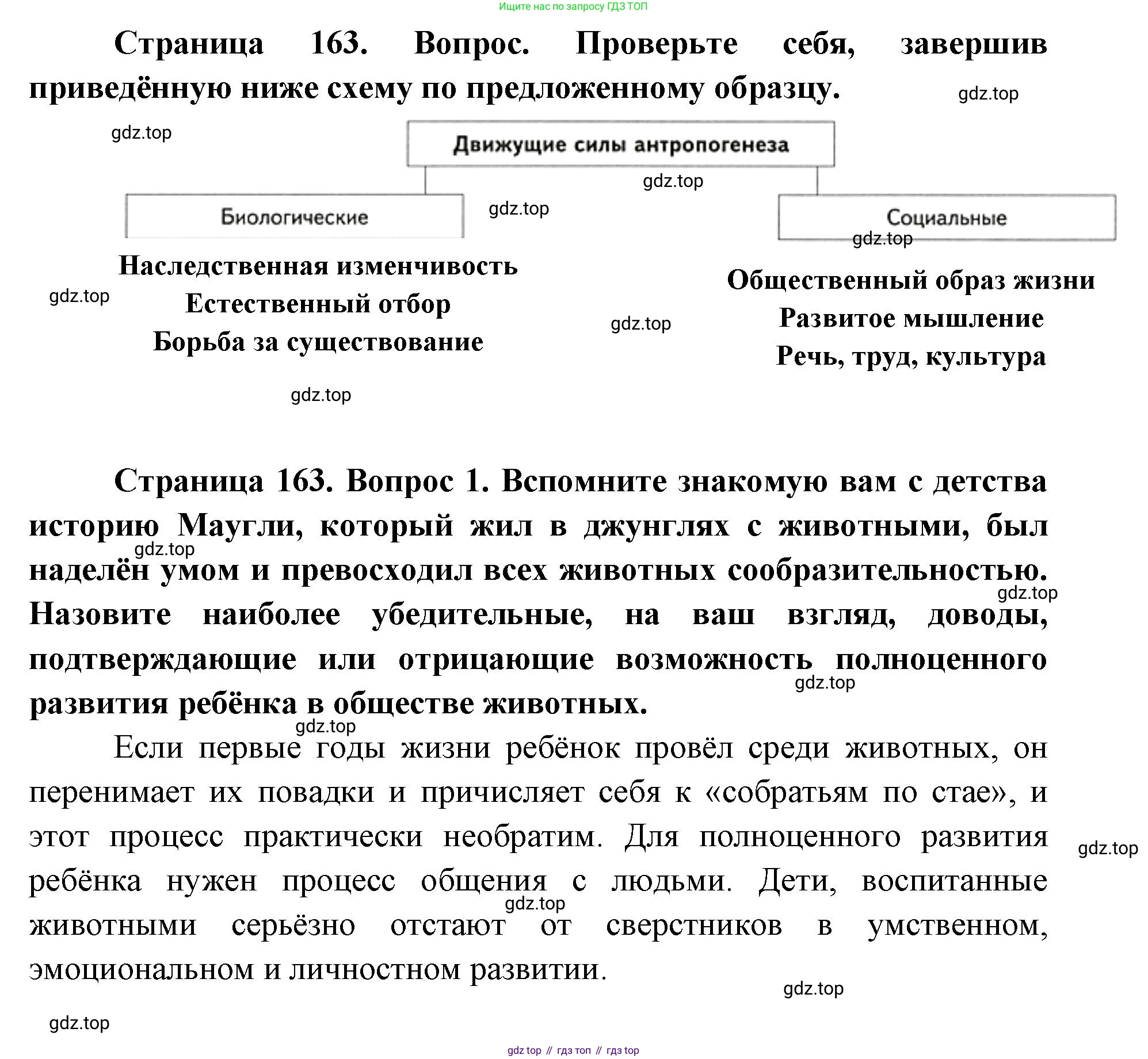 ГДЗ Биология, 9 класс Учебник, авторы: Сухова Тамара Сергеевна, Сарычева Наталия Юрьевна, Шаталова Светлана Петровна, Дмитриева Татьяна Андреевна, издательство Просвещение, Москва, 2021, страница 163, Решение