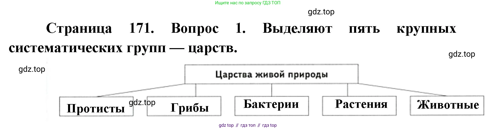 ГДЗ Биология, 9 класс Учебник, авторы: Сухова Тамара Сергеевна, Сарычева Наталия Юрьевна, Шаталова Светлана Петровна, Дмитриева Татьяна Андреевна, издательство Просвещение, Москва, 2021, страница 171, Решение