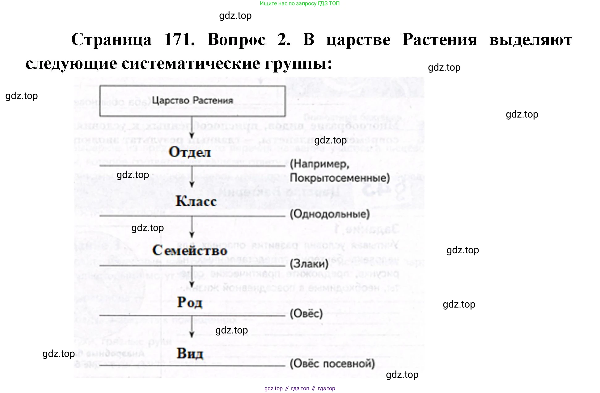 ГДЗ Биология, 9 класс Учебник, авторы: Сухова Тамара Сергеевна, Сарычева Наталия Юрьевна, Шаталова Светлана Петровна, Дмитриева Татьяна Андреевна, издательство Просвещение, Москва, 2021, страница 171, Решение (продолжение 2)