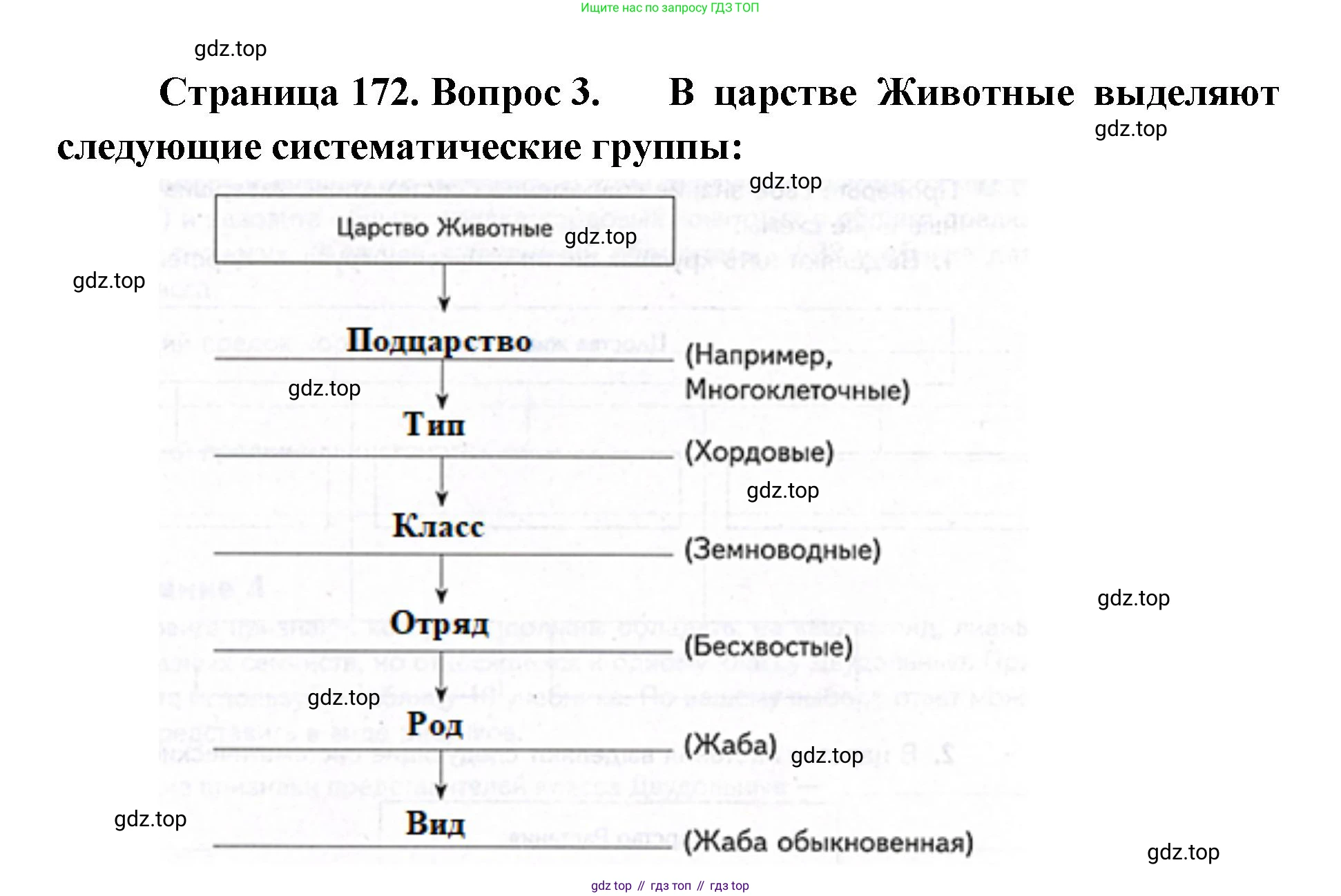 ГДЗ Биология, 9 класс Учебник, авторы: Сухова Тамара Сергеевна, Сарычева Наталия Юрьевна, Шаталова Светлана Петровна, Дмитриева Татьяна Андреевна, издательство Просвещение, Москва, 2021, страница 172, Решение