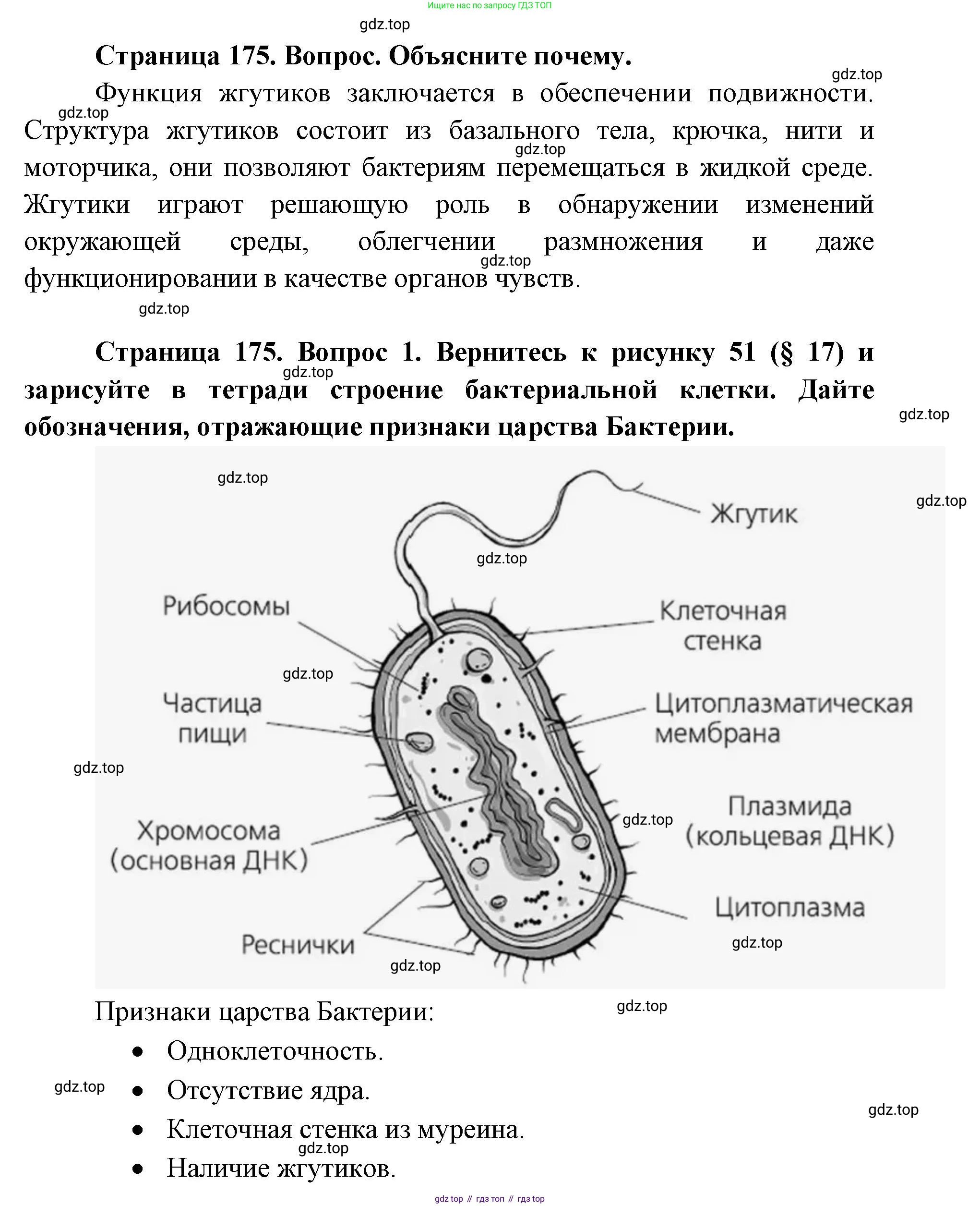 ГДЗ Биология, 9 класс Учебник, авторы: Сухова Тамара Сергеевна, Сарычева Наталия Юрьевна, Шаталова Светлана Петровна, Дмитриева Татьяна Андреевна, издательство Просвещение, Москва, 2021, страница 175, Решение