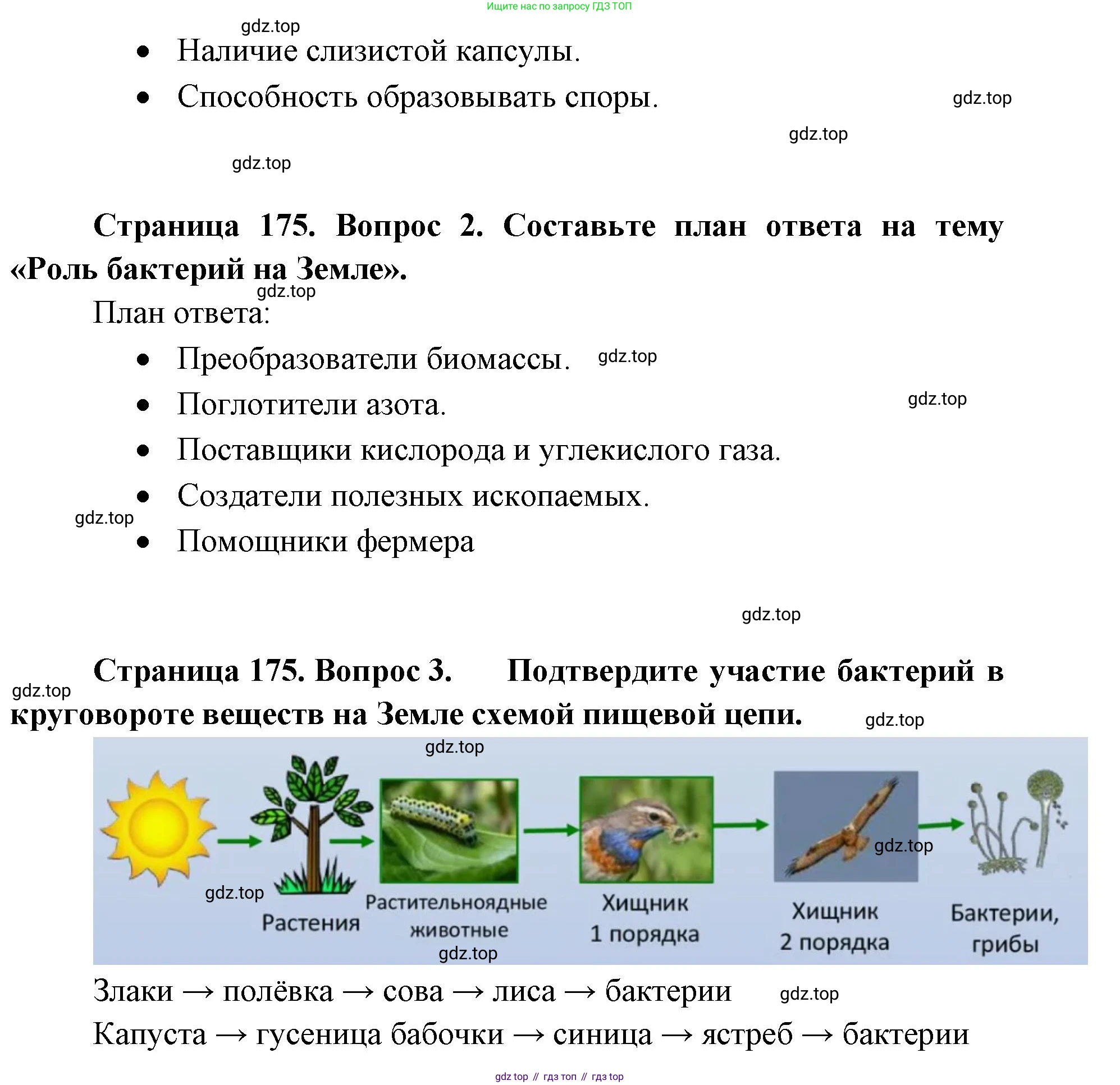 ГДЗ Биология, 9 класс Учебник, авторы: Сухова Тамара Сергеевна, Сарычева Наталия Юрьевна, Шаталова Светлана Петровна, Дмитриева Татьяна Андреевна, издательство Просвещение, Москва, 2021, страница 175, Решение (продолжение 2)