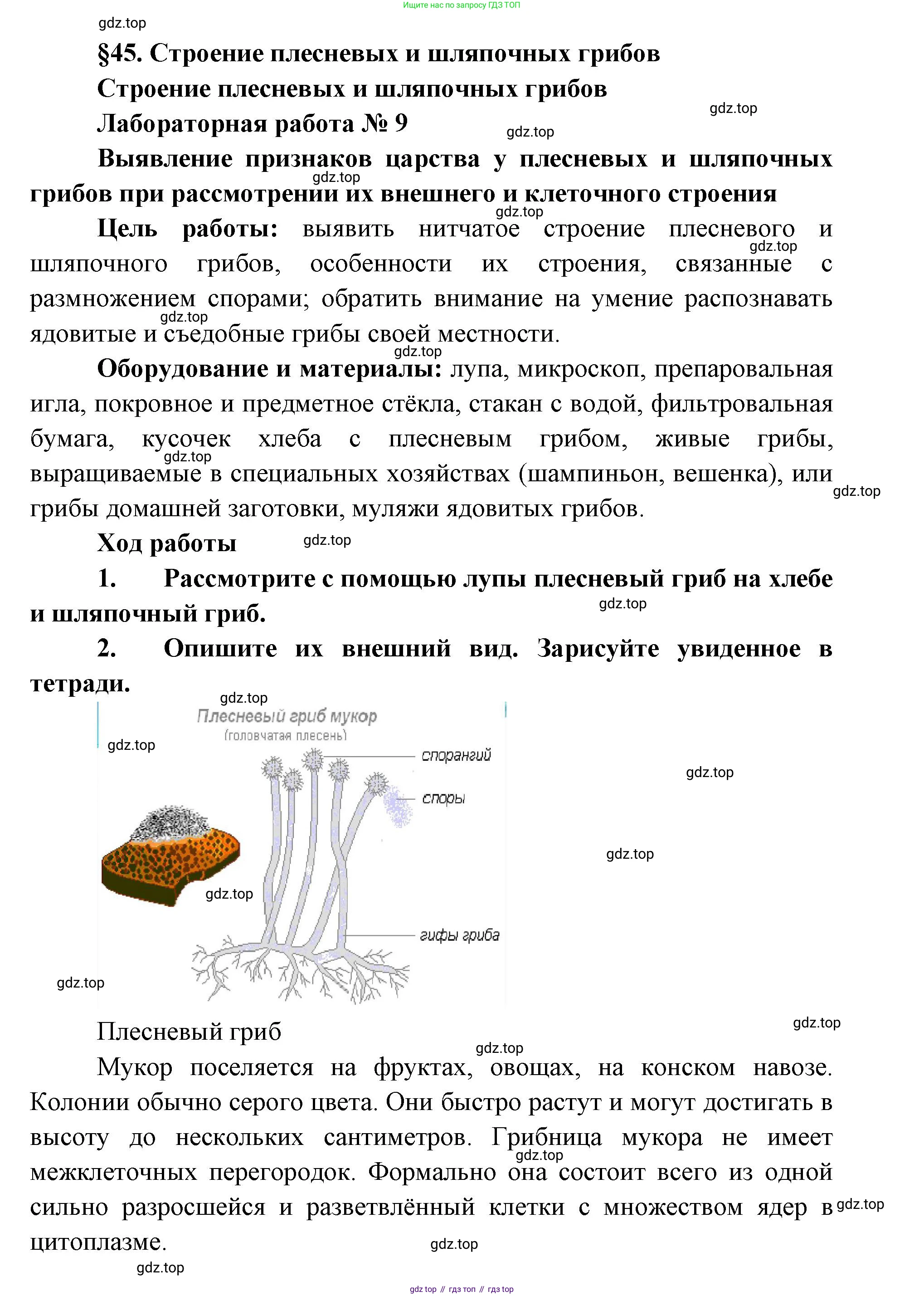 ГДЗ Биология, 9 класс Учебник, авторы: Сухова Тамара Сергеевна, Сарычева Наталия Юрьевна, Шаталова Светлана Петровна, Дмитриева Татьяна Андреевна, издательство Просвещение, Москва, 2021, страница 181, Решение (продолжение 4)