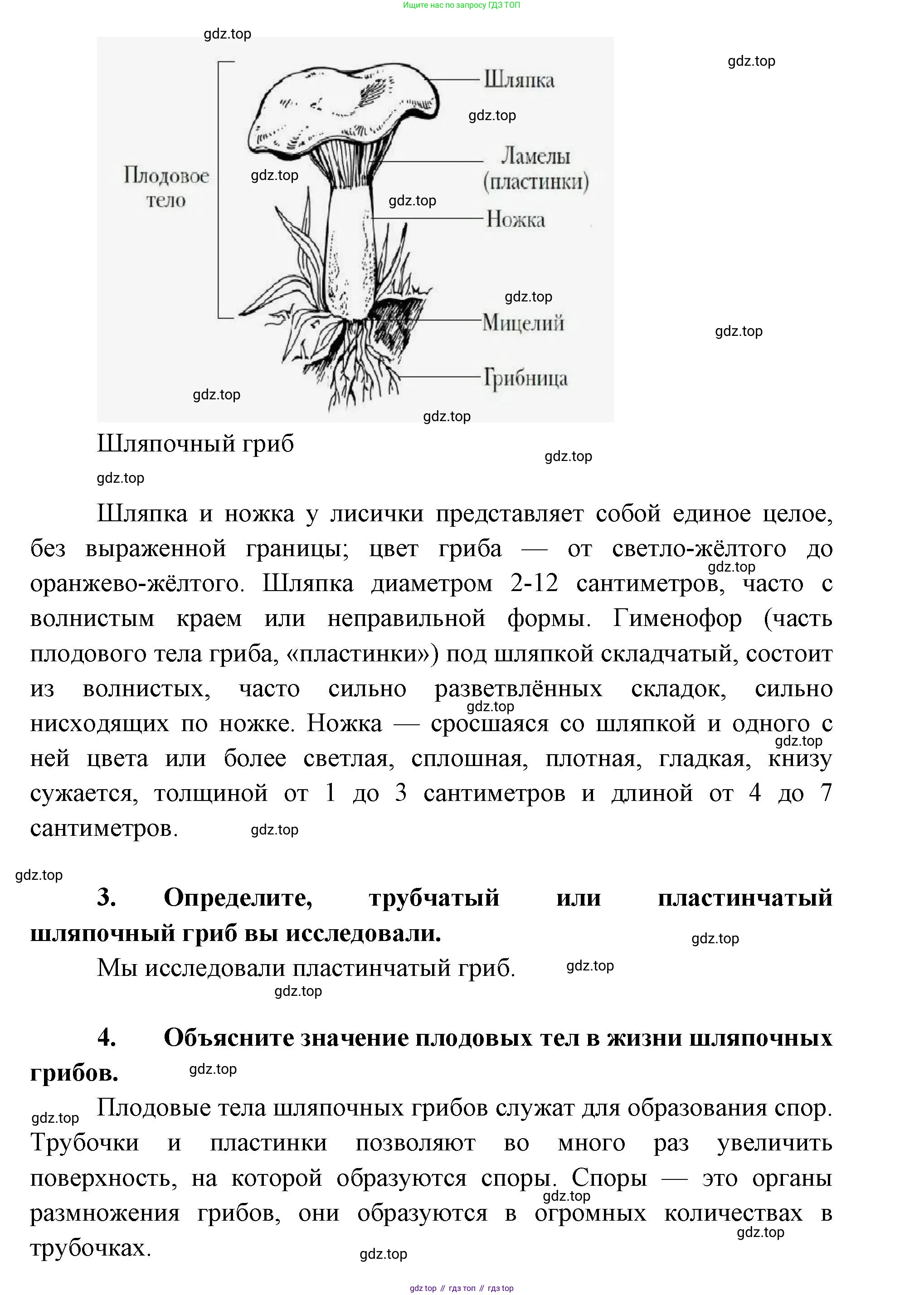 ГДЗ Биология, 9 класс Учебник, авторы: Сухова Тамара Сергеевна, Сарычева Наталия Юрьевна, Шаталова Светлана Петровна, Дмитриева Татьяна Андреевна, издательство Просвещение, Москва, 2021, страница 181, Решение (продолжение 5)