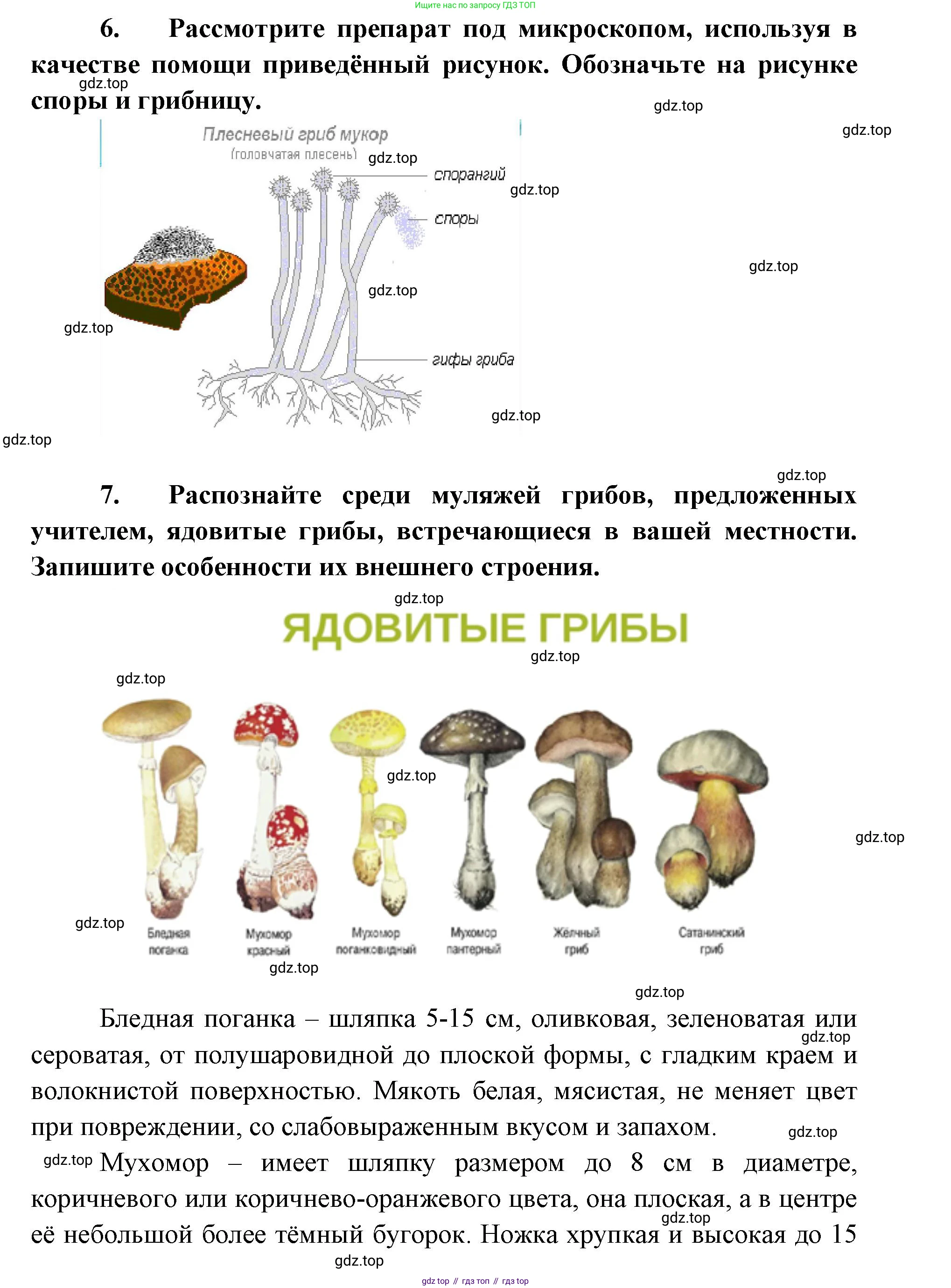 ГДЗ Биология, 9 класс Учебник, авторы: Сухова Тамара Сергеевна, Сарычева Наталия Юрьевна, Шаталова Светлана Петровна, Дмитриева Татьяна Андреевна, издательство Просвещение, Москва, 2021, страница 182, Решение