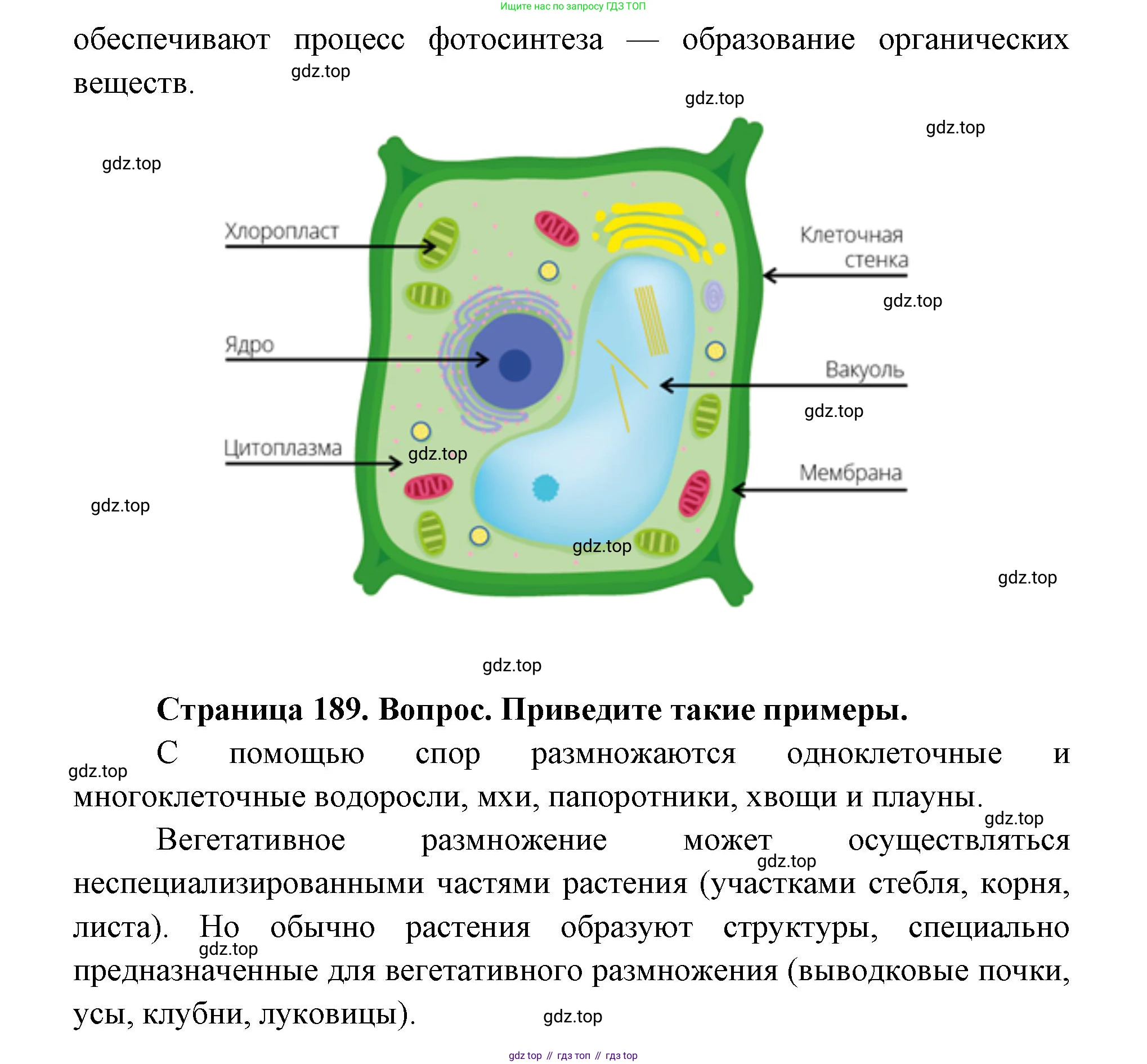 ГДЗ Биология, 9 класс Учебник, авторы: Сухова Тамара Сергеевна, Сарычева Наталия Юрьевна, Шаталова Светлана Петровна, Дмитриева Татьяна Андреевна, издательство Просвещение, Москва, 2021, страница 187, Решение (продолжение 2)