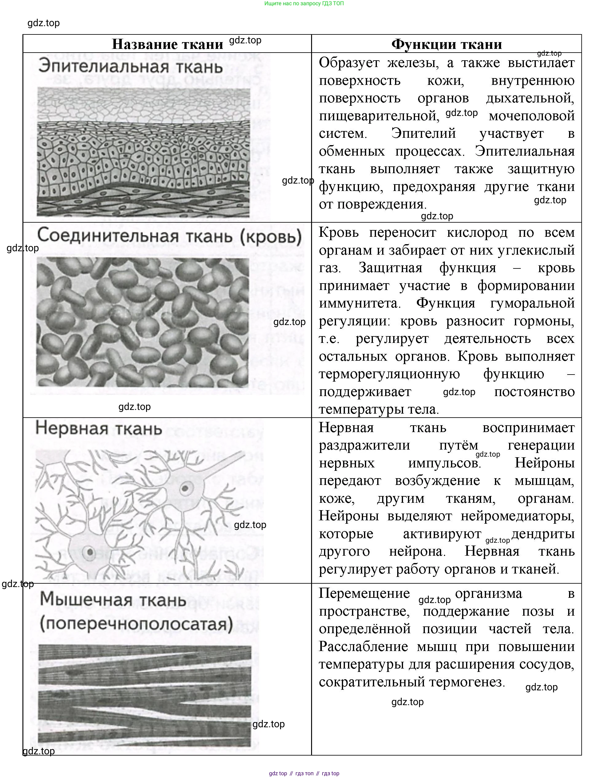ГДЗ Биология, 9 класс Учебник, авторы: Сухова Тамара Сергеевна, Сарычева Наталия Юрьевна, Шаталова Светлана Петровна, Дмитриева Татьяна Андреевна, издательство Просвещение, Москва, 2021, страница 201, Решение (продолжение 2)