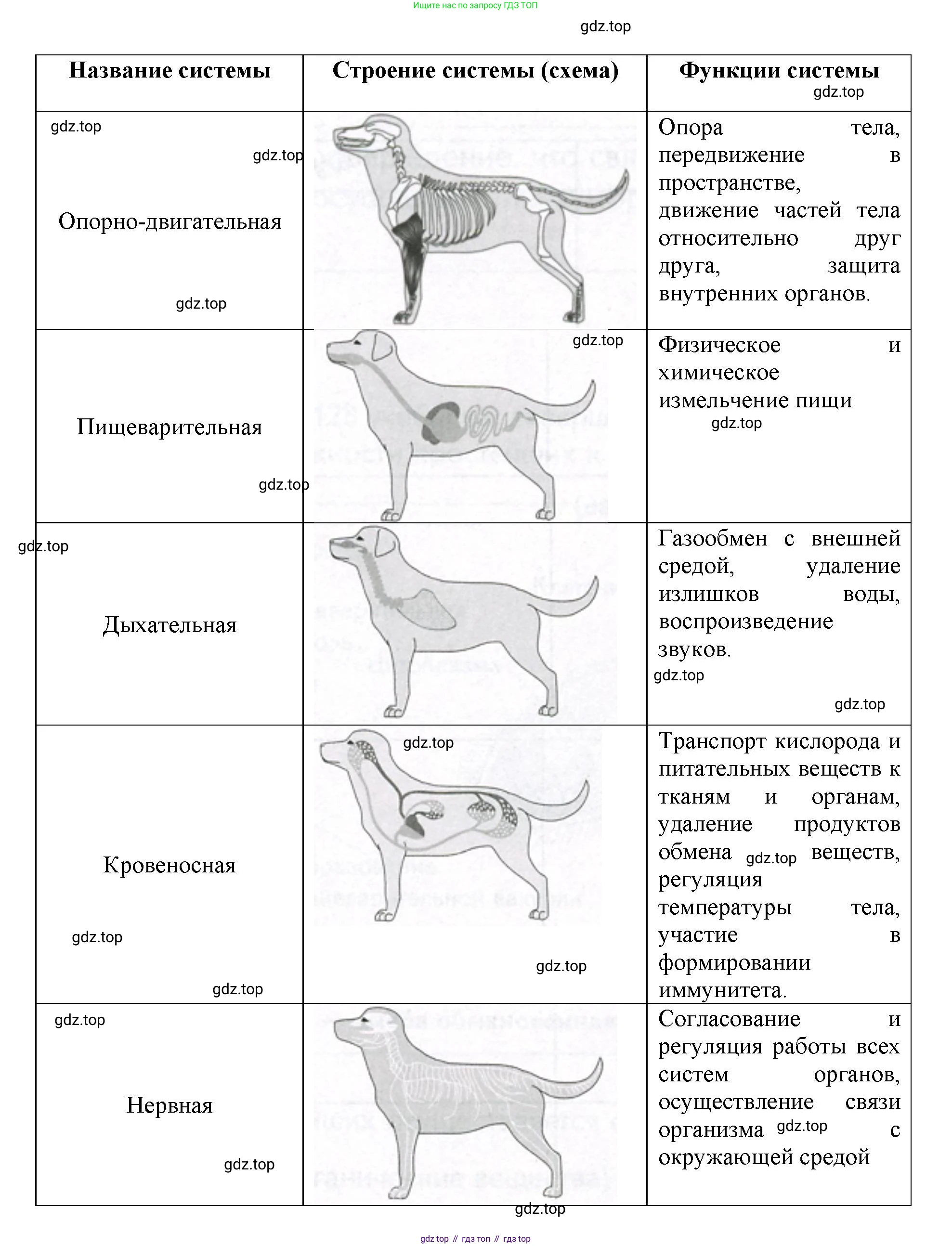ГДЗ Биология, 9 класс Учебник, авторы: Сухова Тамара Сергеевна, Сарычева Наталия Юрьевна, Шаталова Светлана Петровна, Дмитриева Татьяна Андреевна, издательство Просвещение, Москва, 2021, страница 202, Решение (продолжение 2)