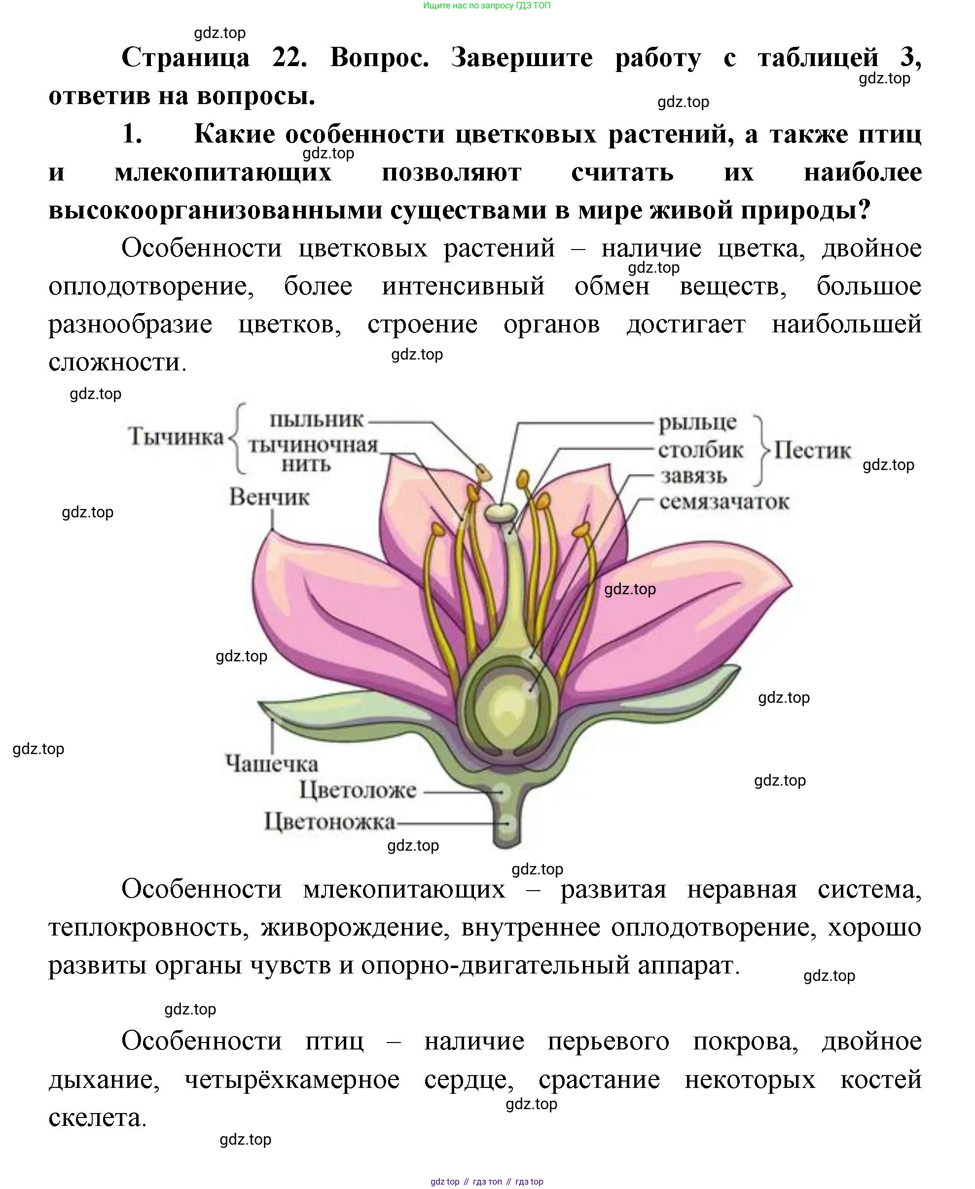ГДЗ Биология, 9 класс Учебник, авторы: Сухова Тамара Сергеевна, Сарычева Наталия Юрьевна, Шаталова Светлана Петровна, Дмитриева Татьяна Андреевна, издательство Просвещение, Москва, 2021, страница 22, Решение